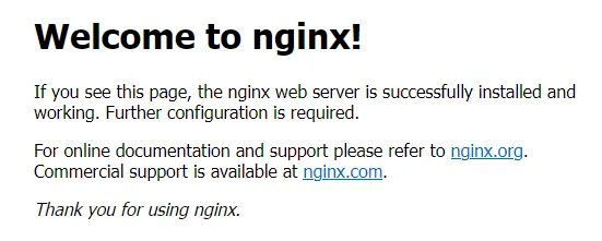 nginx default page