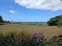 Photo from log "2024-07-14 (4 photos)"