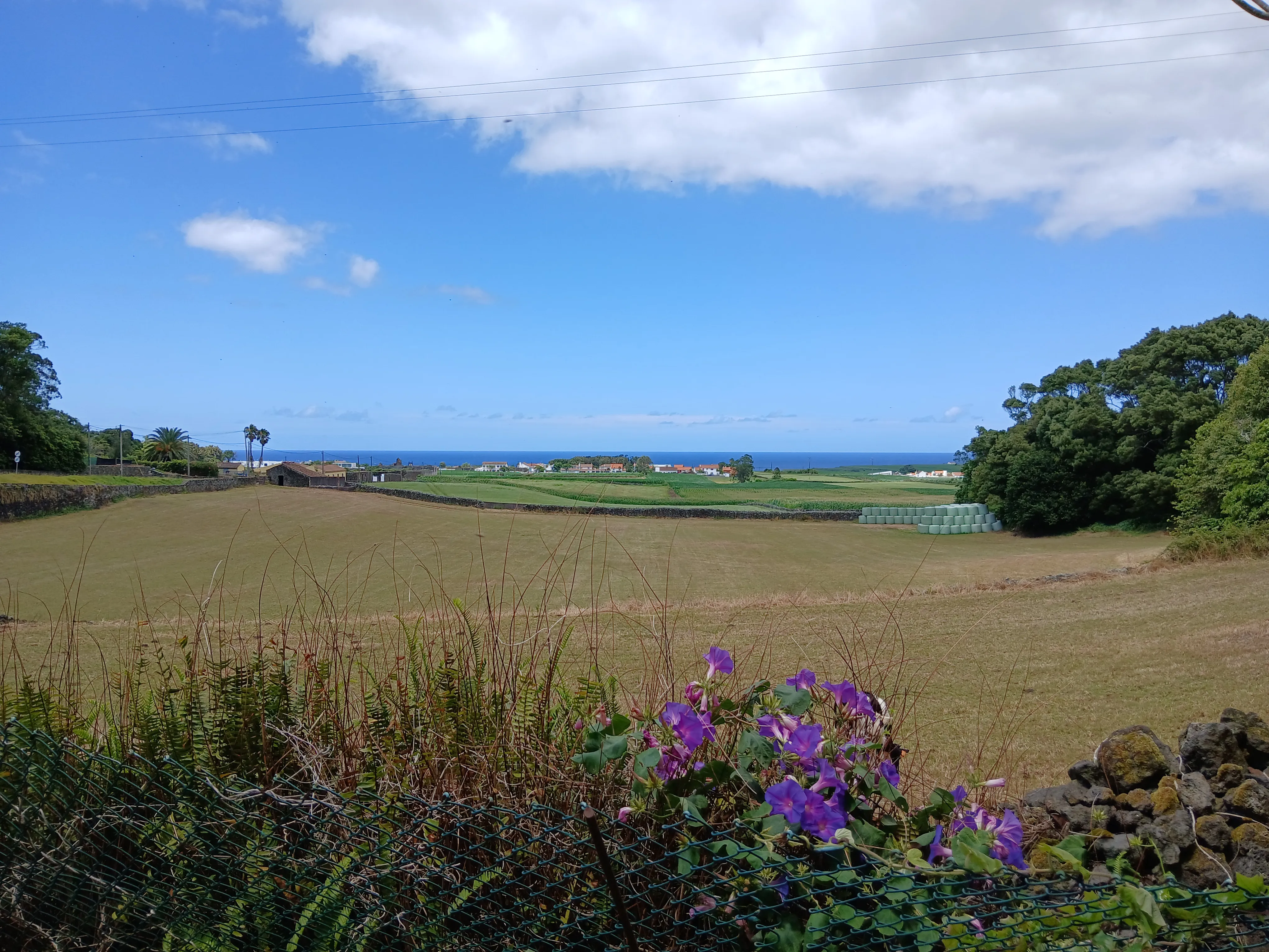 2024-07-14 (4 photos)