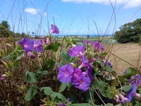 Photo from log "2024-07-14 (4 photos)"