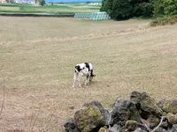 Photo from log "2024-07-14 (4 photos)"