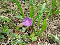 Photo from log "2024-07-14 (4 photos)"