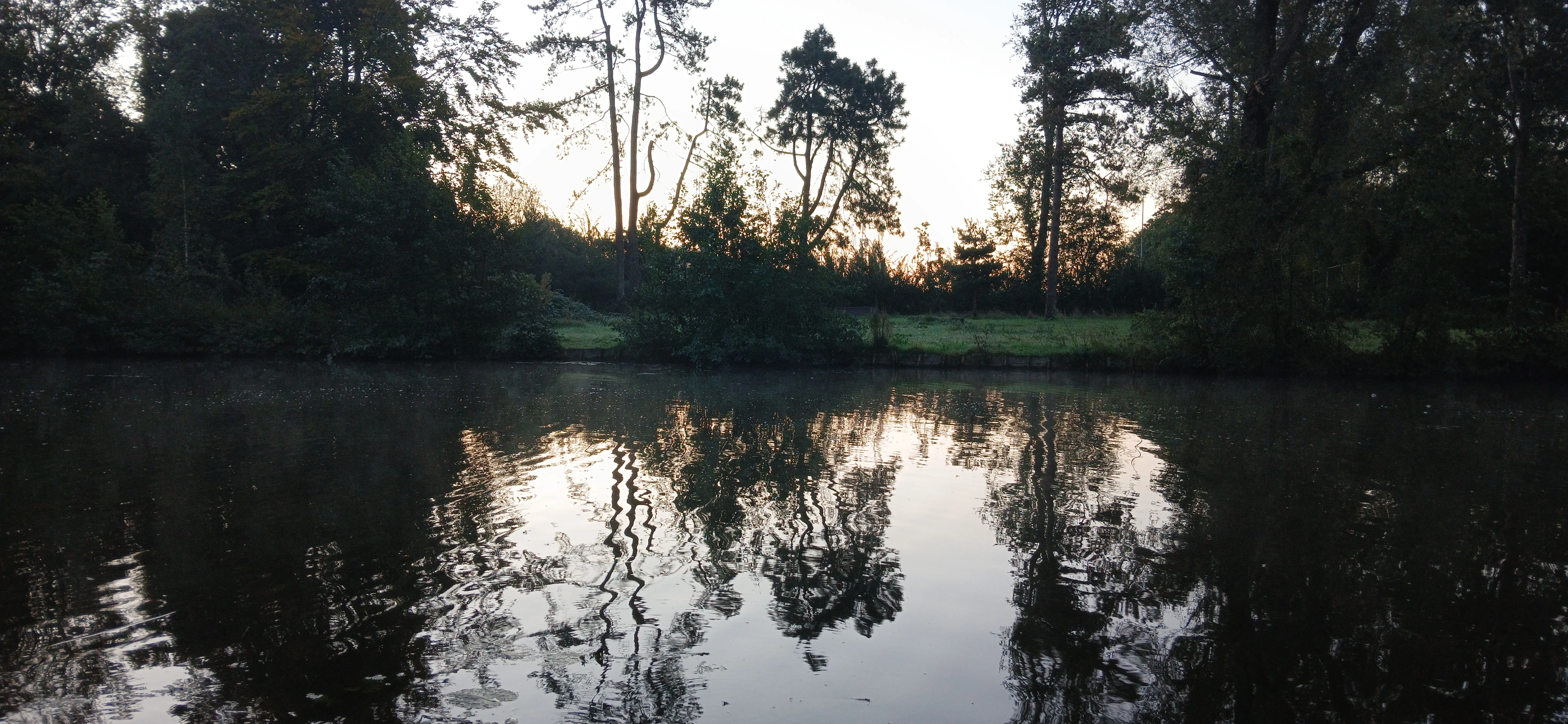 2024-10-03_07.46.30.jpg (8160x3768)