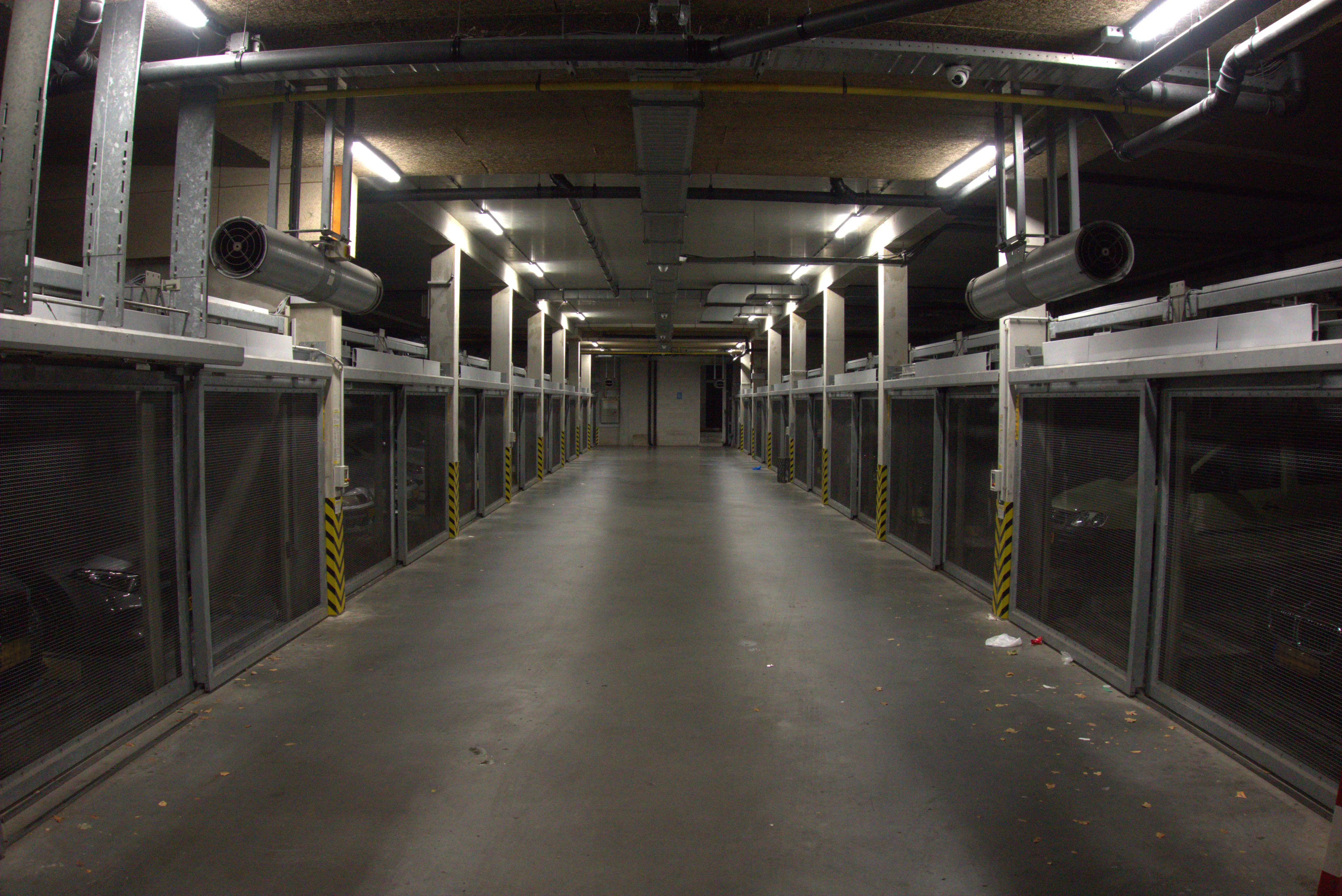 2024-10-27_03.31.20.jpg (5496x3672)