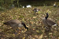 Photo from log "2024-10-27 (3 photos)"