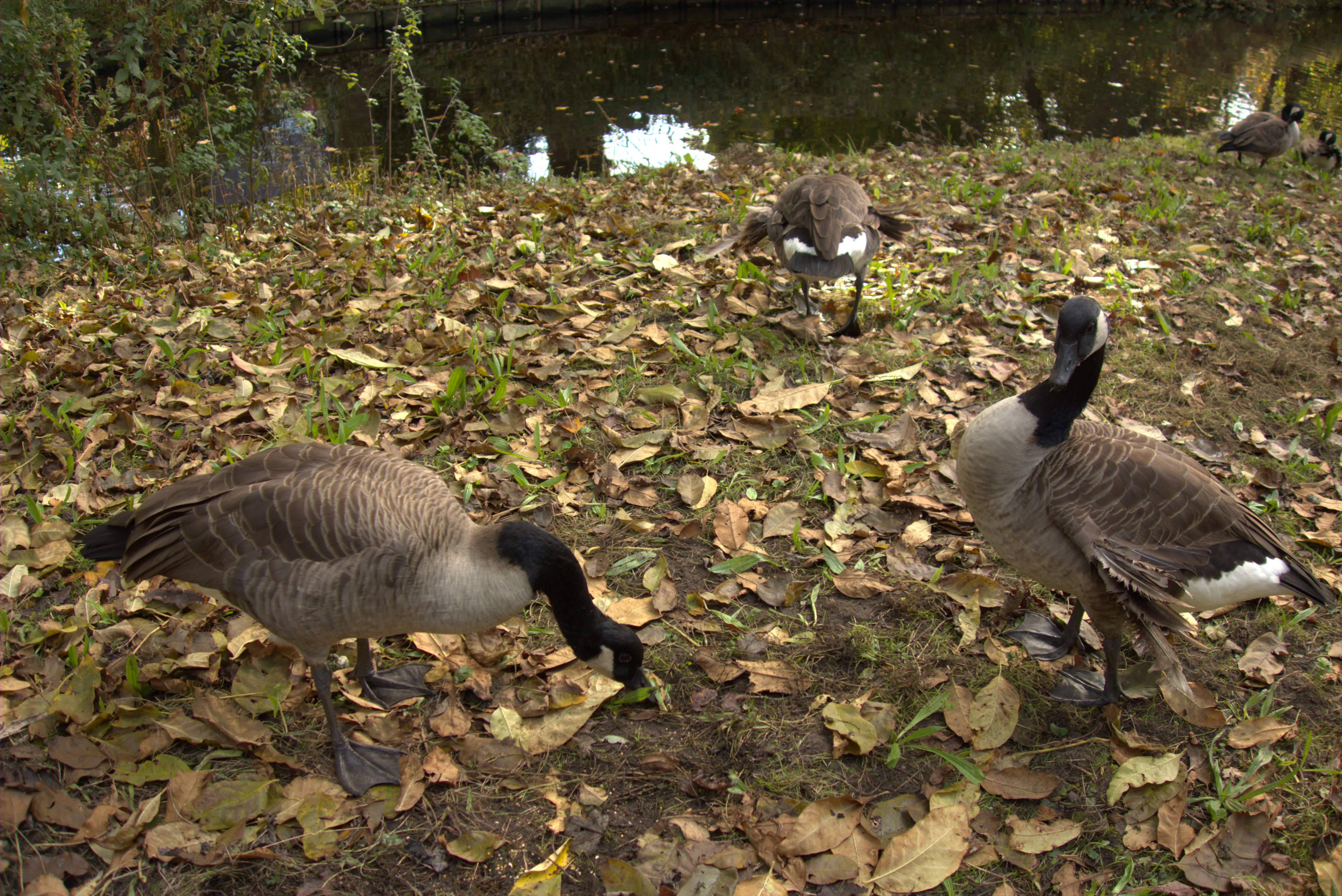 2024-10-27_16.05.33.jpg (5496x3672)