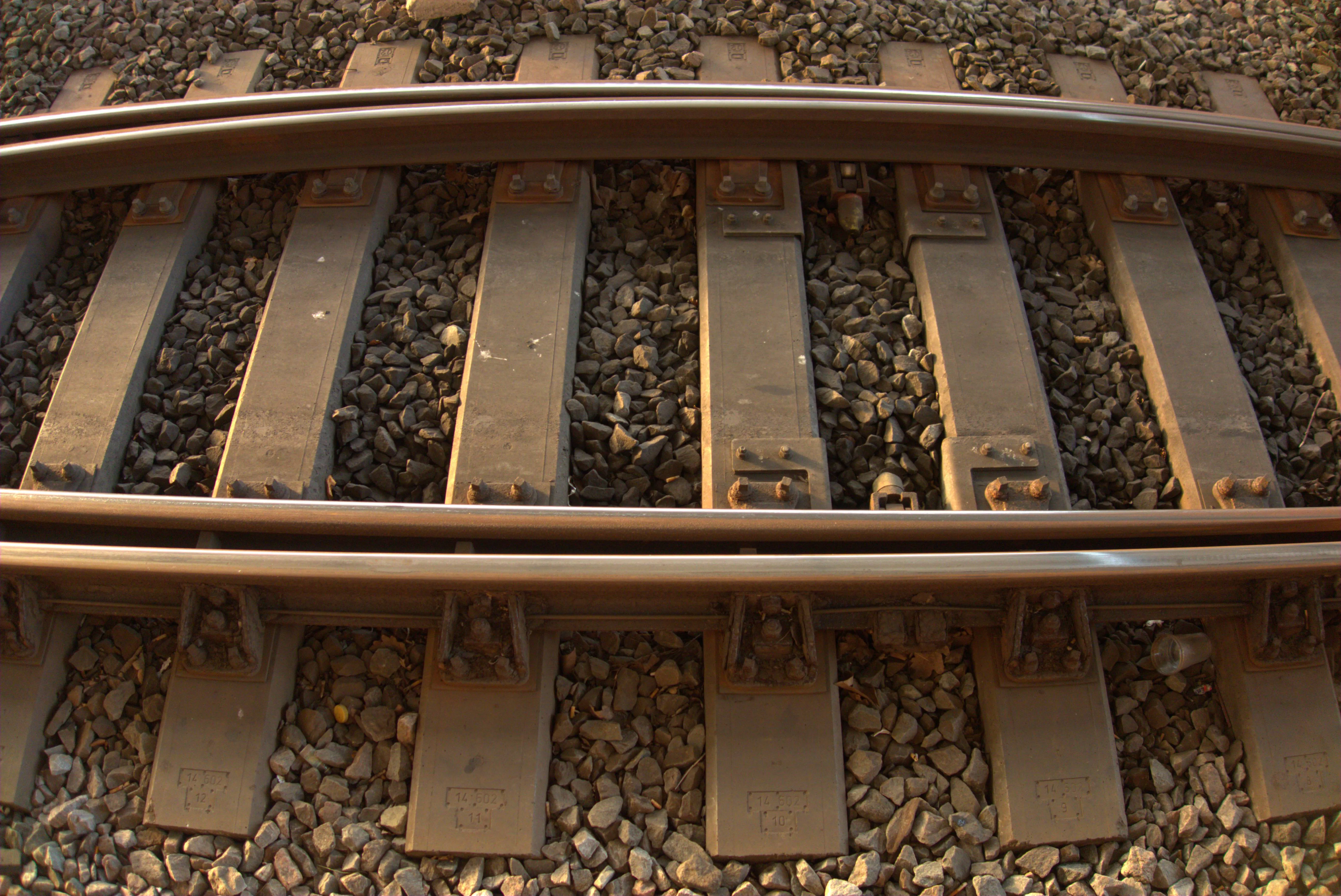 2024-11-05_08.55.44.jpg (5496x3672)