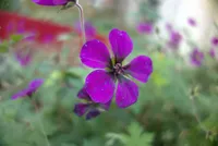 Photo from log "2024-11-05 Amsterdam (4 photos)"