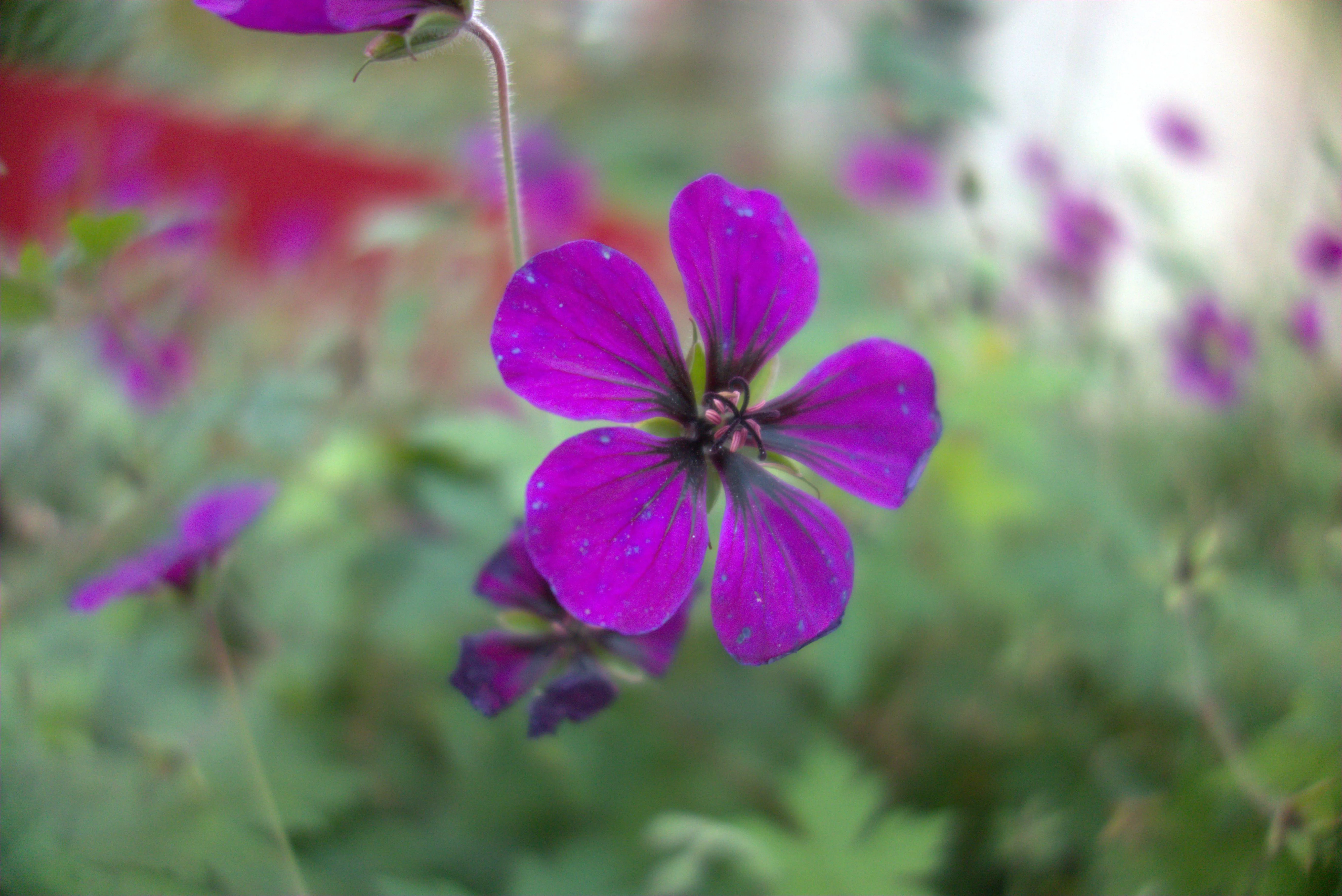 2024-11-05_16.19.46.jpg (5496x3672)