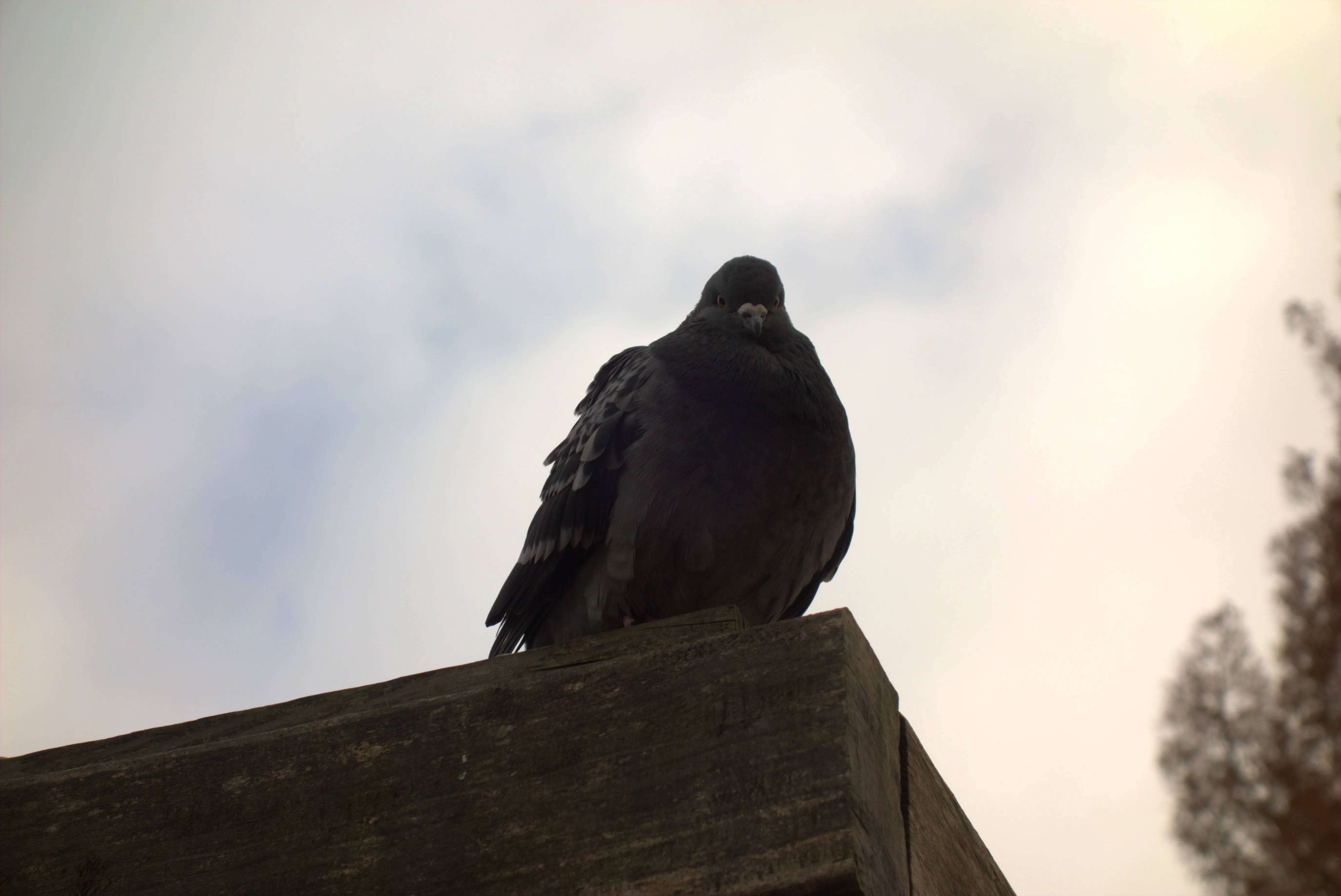 2024-11-14_11.50.49.jpg (5496x3672)