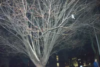 Photo from log "Boston, day 2 (7 photos)"