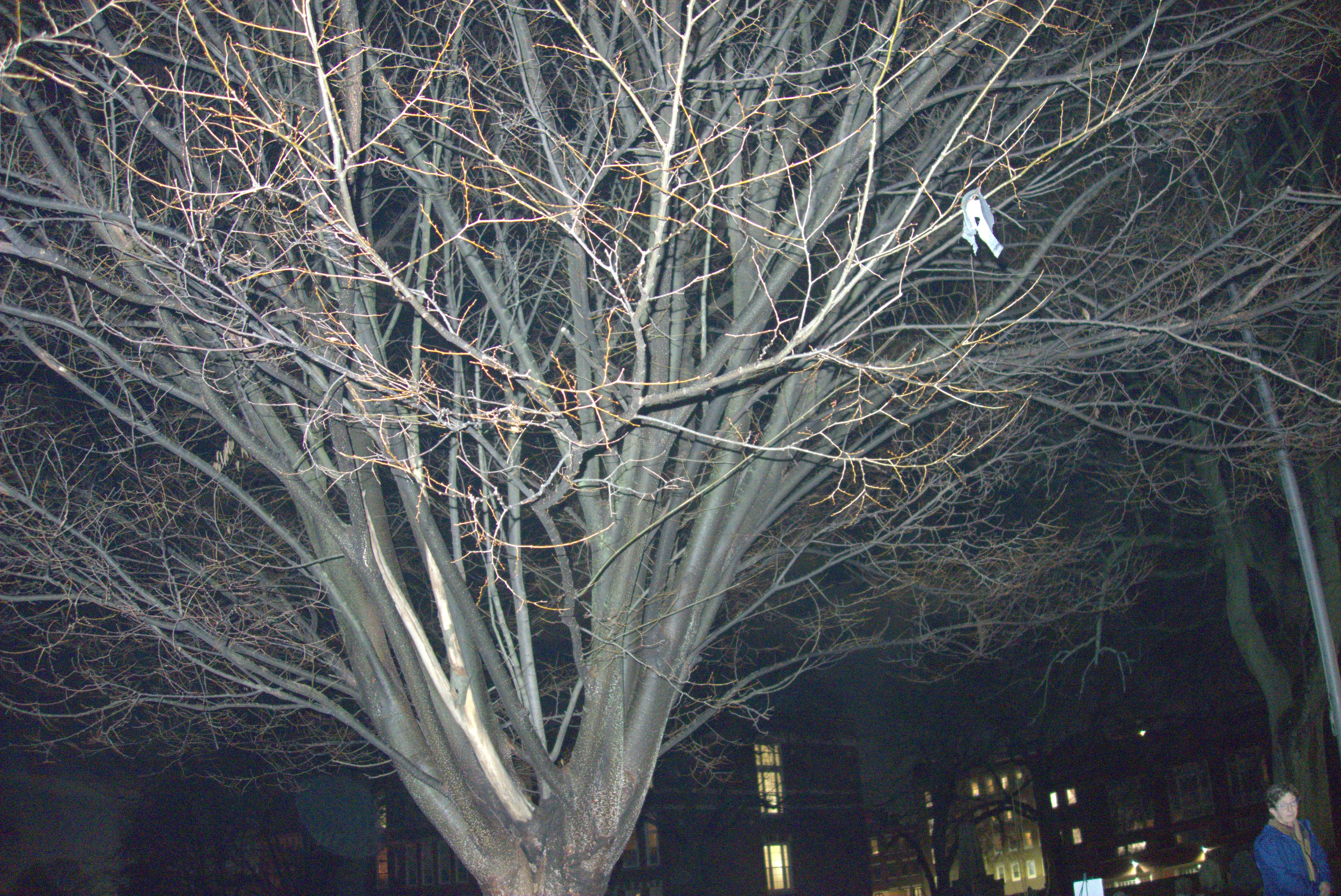 2024-12-29_18.35.48.jpg (5496x3672)