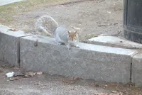 Photo from log "Boston, day 4 (4 photos)"