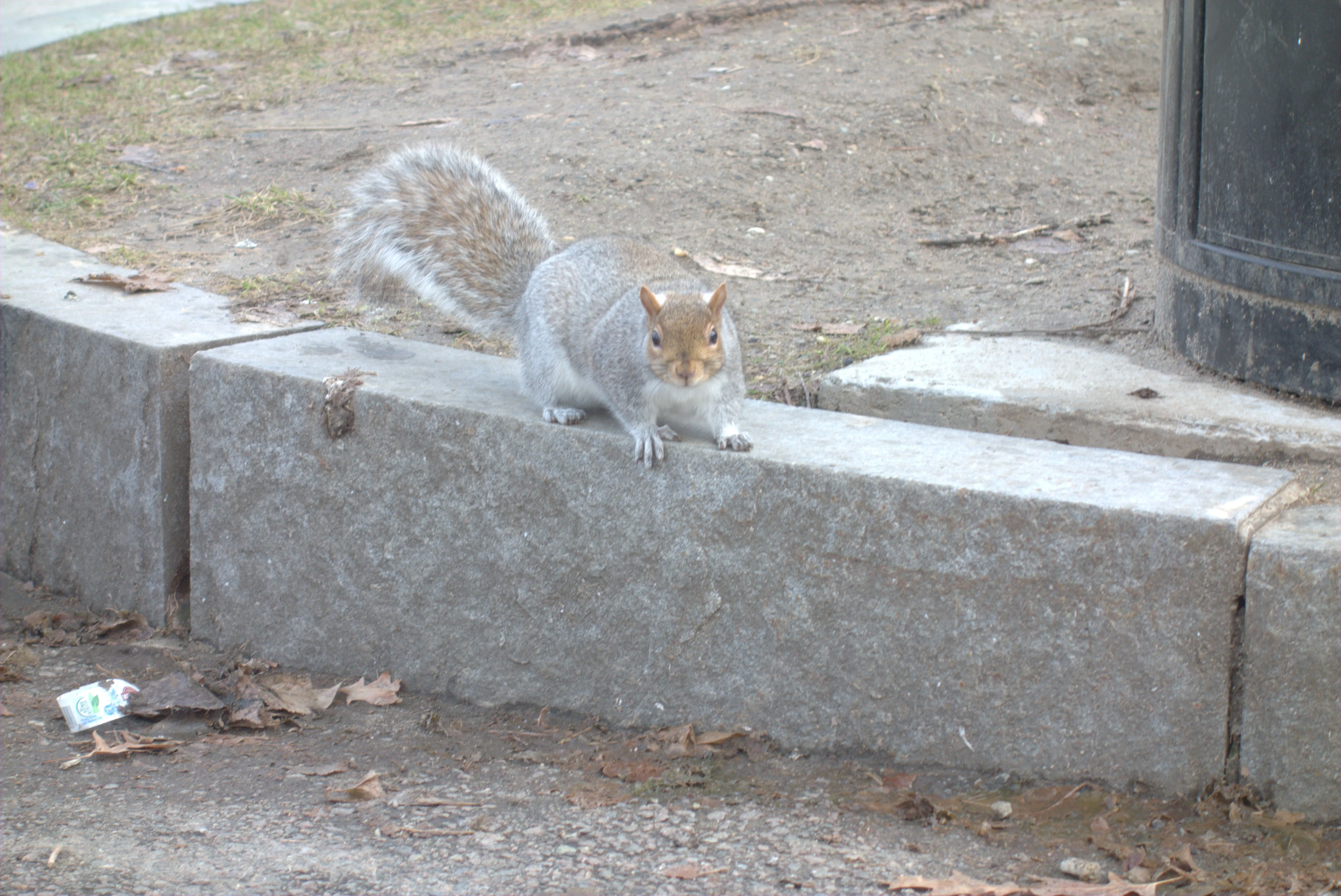 2024-12-31_10.23.10.jpg (5496x3672)