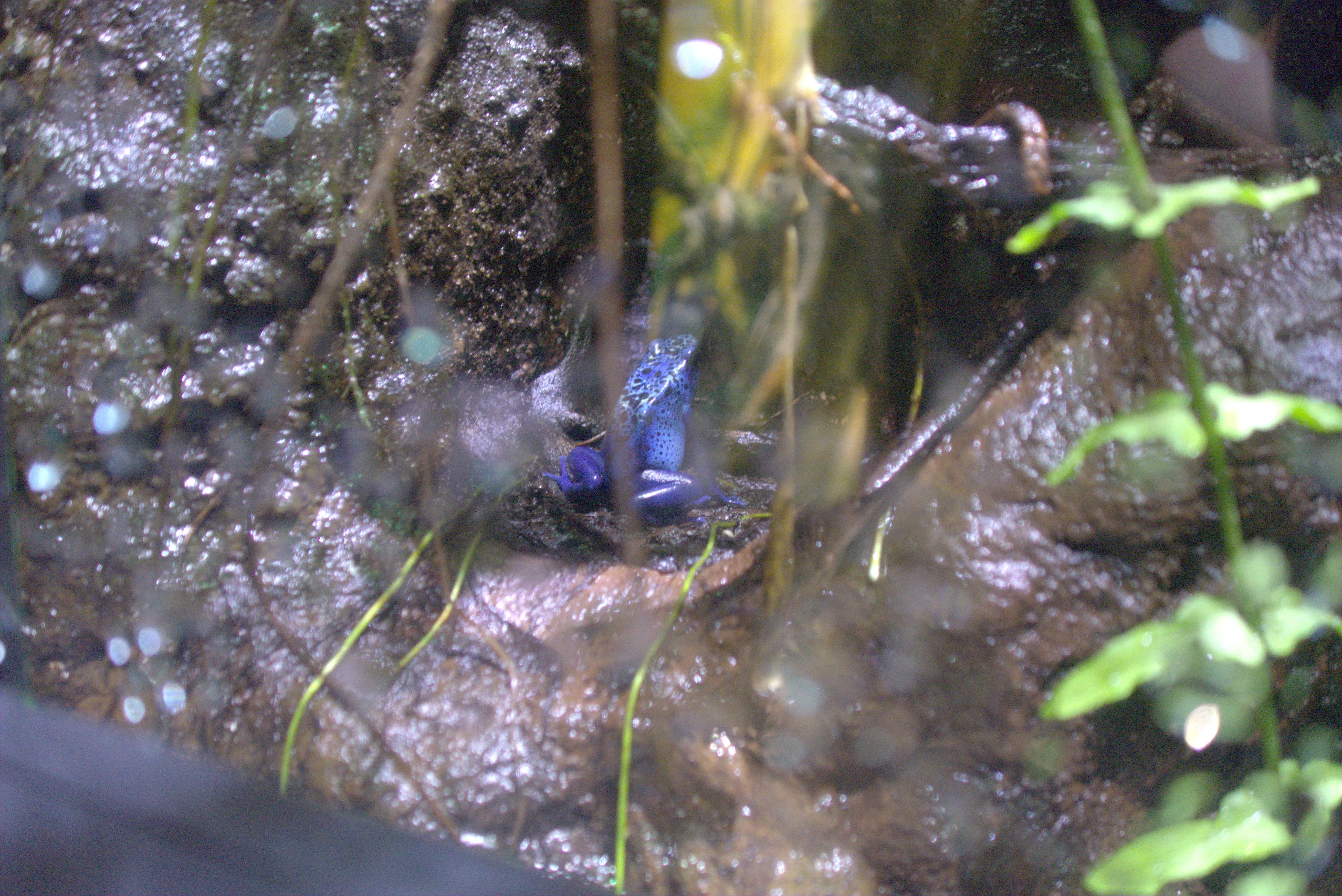 2025-01-02_14.08.52.jpg (5496x3672)