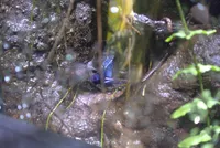 Photo from log "Boston Aquarium (7 photos)"