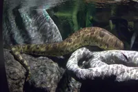 Photo from log "Boston Aquarium (7 photos)"