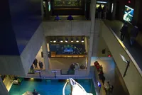 Photo from log "Boston Aquarium (7 photos)"