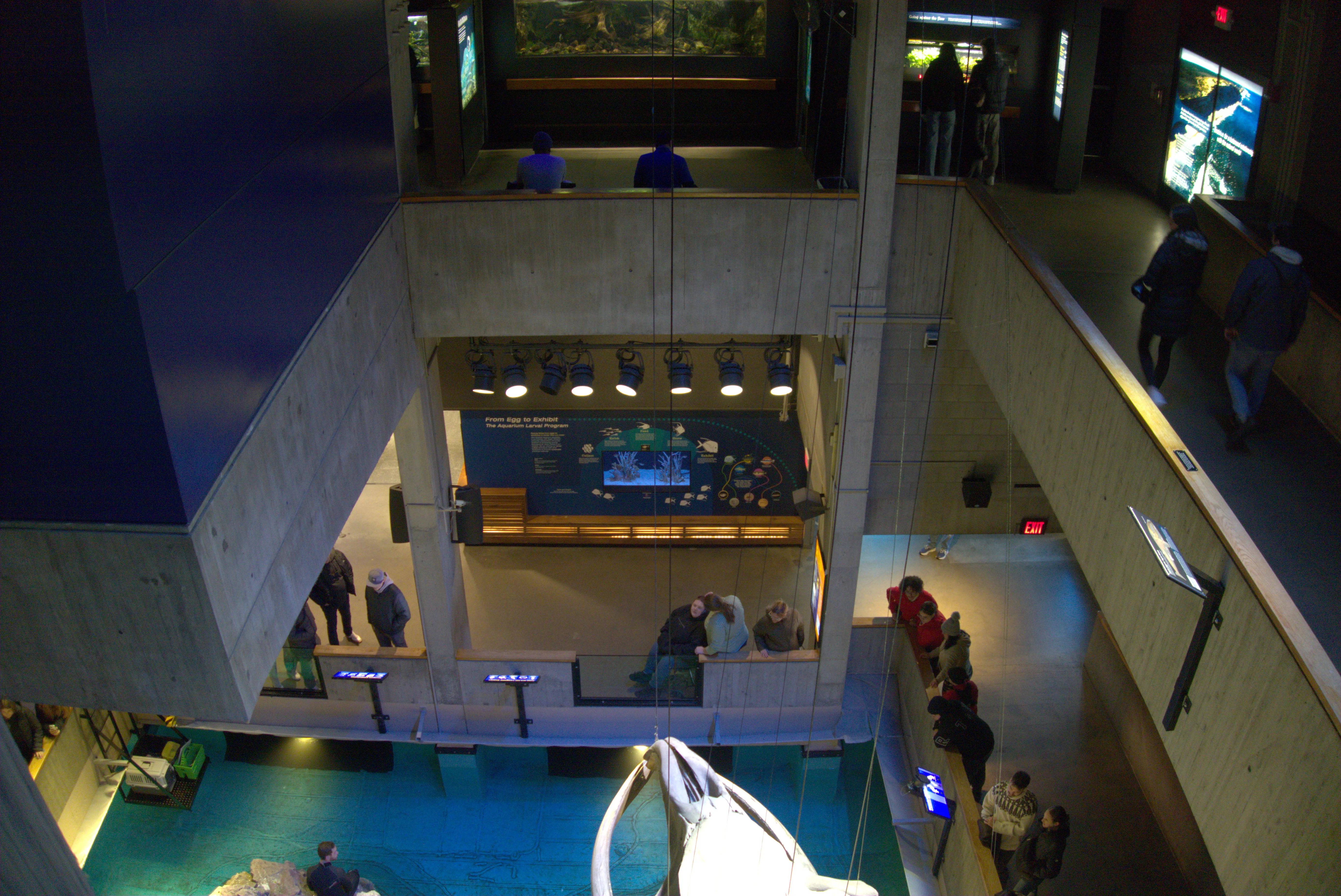 2025-01-02_14.35.54.jpg (5496x3672)