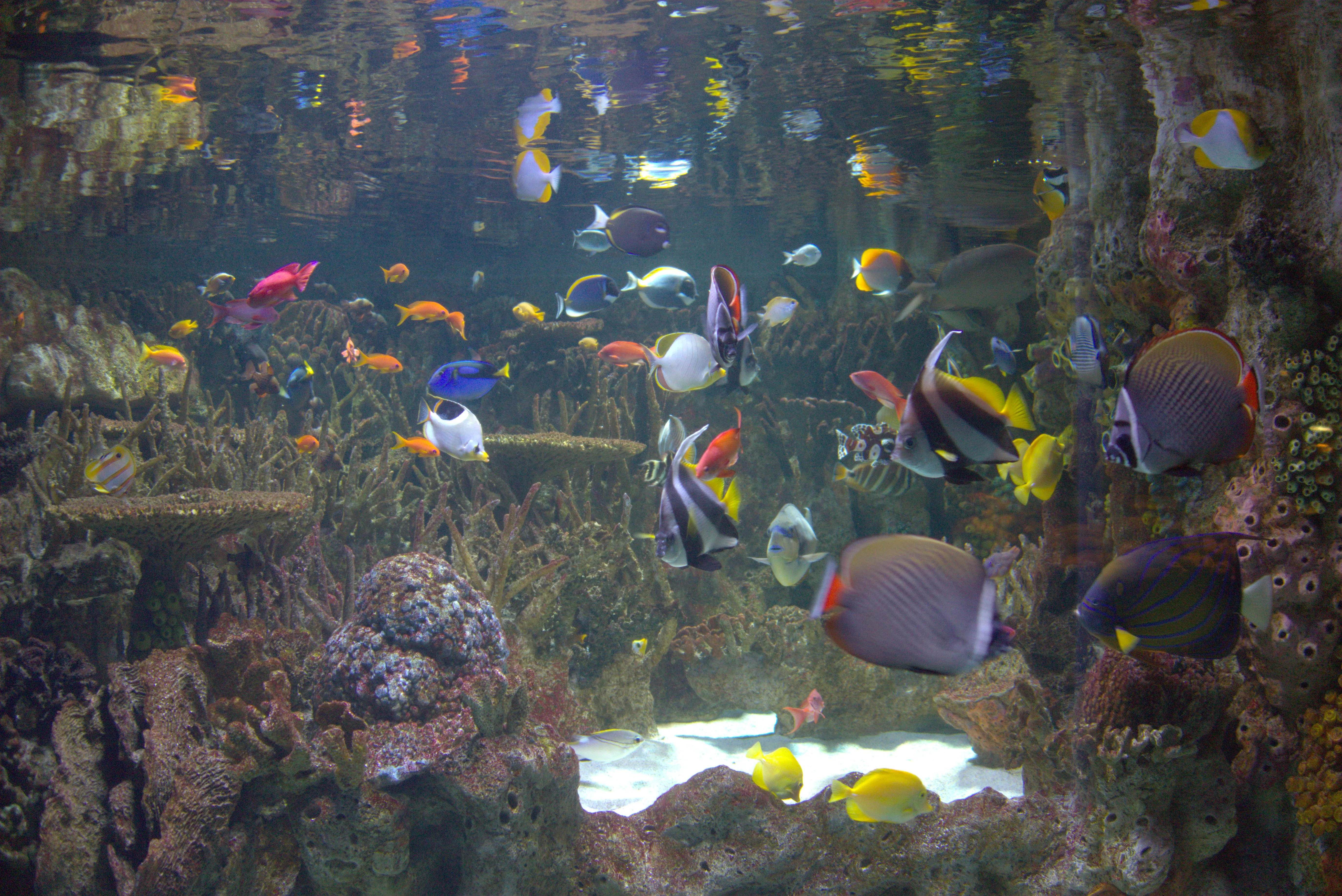 2025-01-02_14.47.54.jpg (5496x3672)