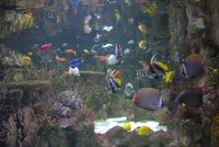 Photo from log "Boston Aquarium (7 photos)"