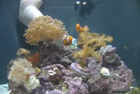 Photo from log "Boston Aquarium (7 photos)"