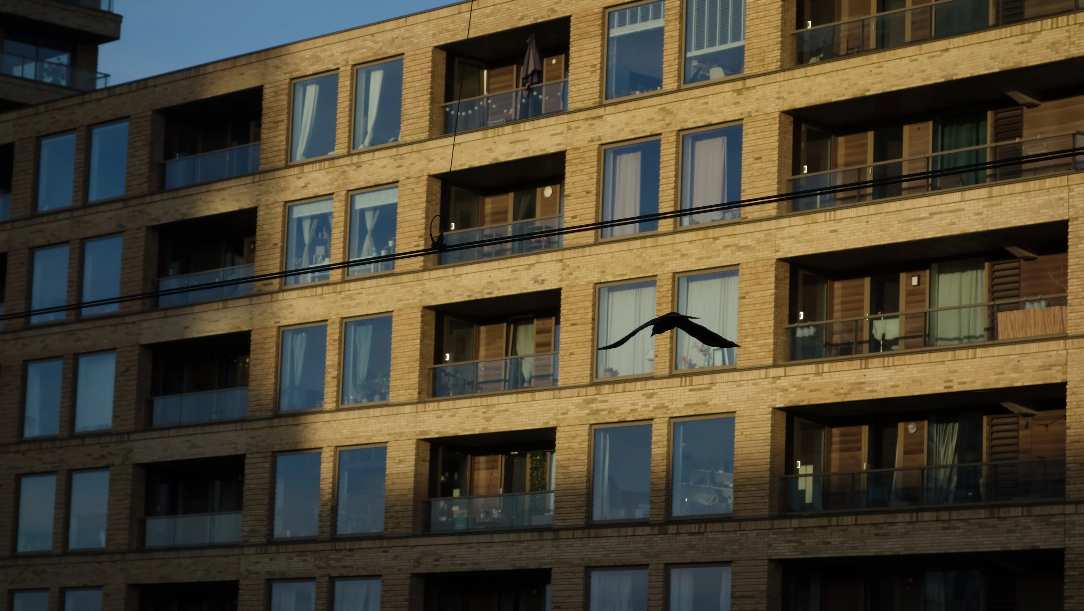 2025-02-05_16.40.04.JPG (3648x2056)