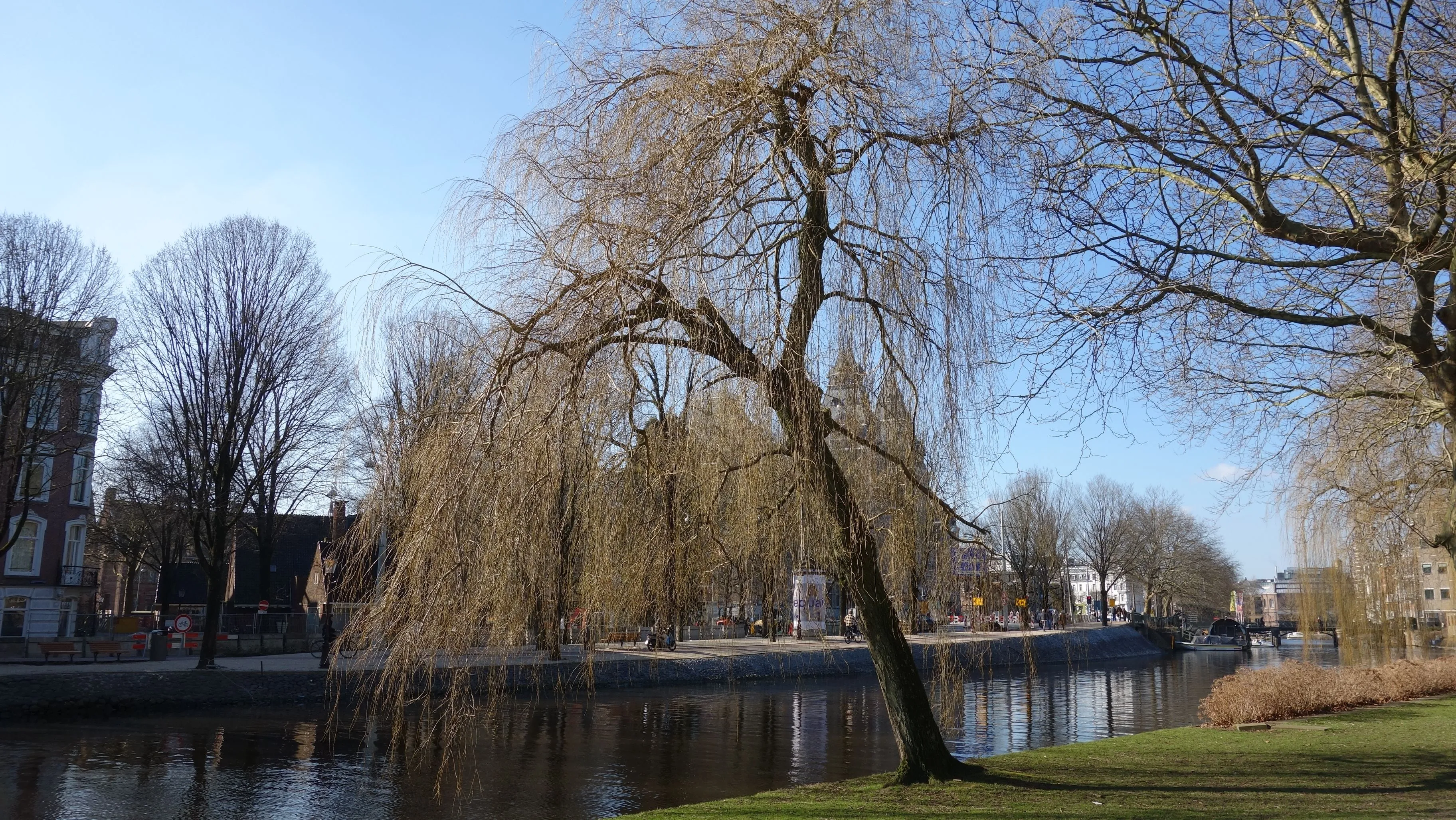 2025-03-02_14.41.58.jpg (3648x2056)