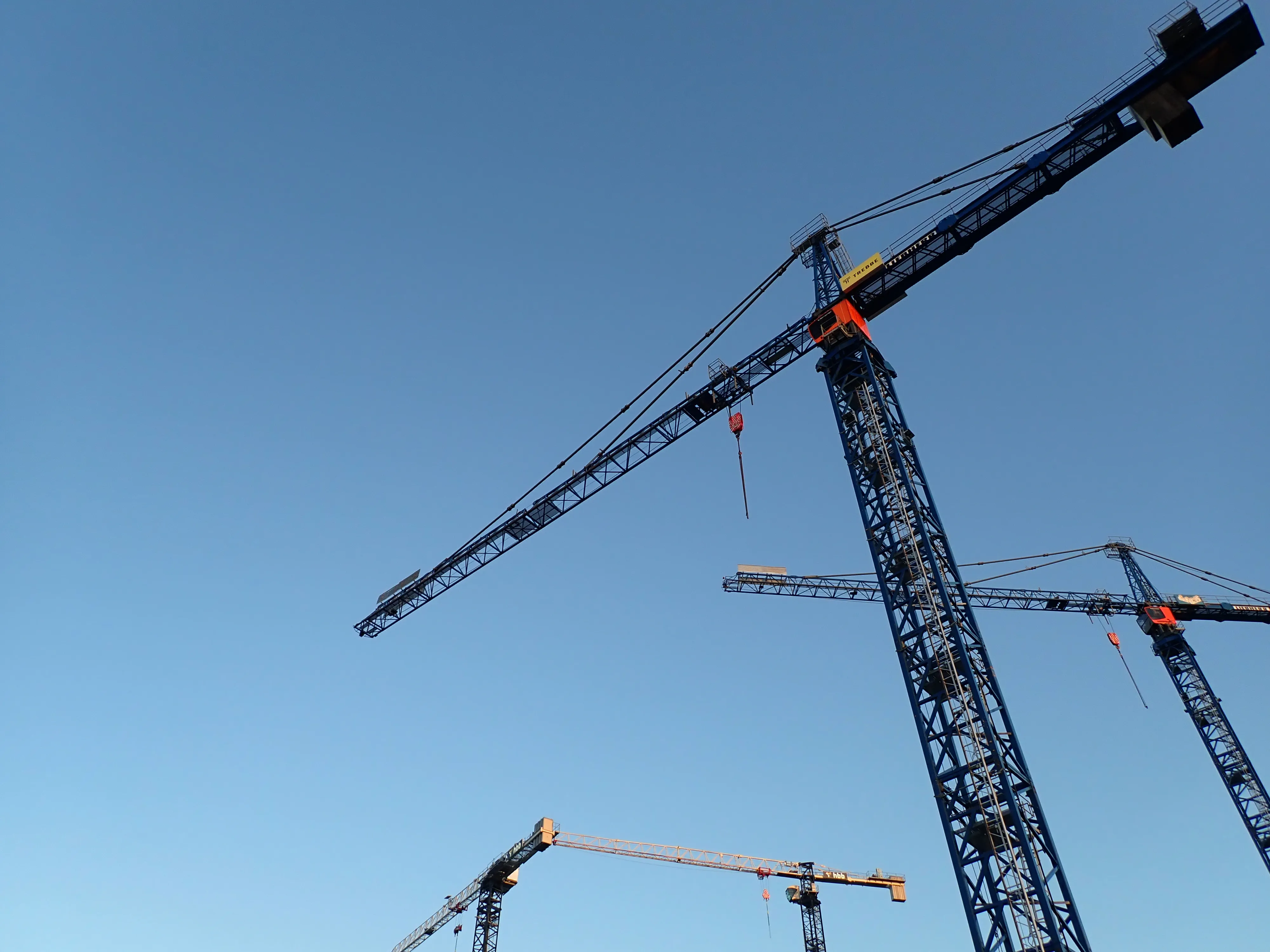 2025-08-28_19.19.23_75.JPG (4000x3000)