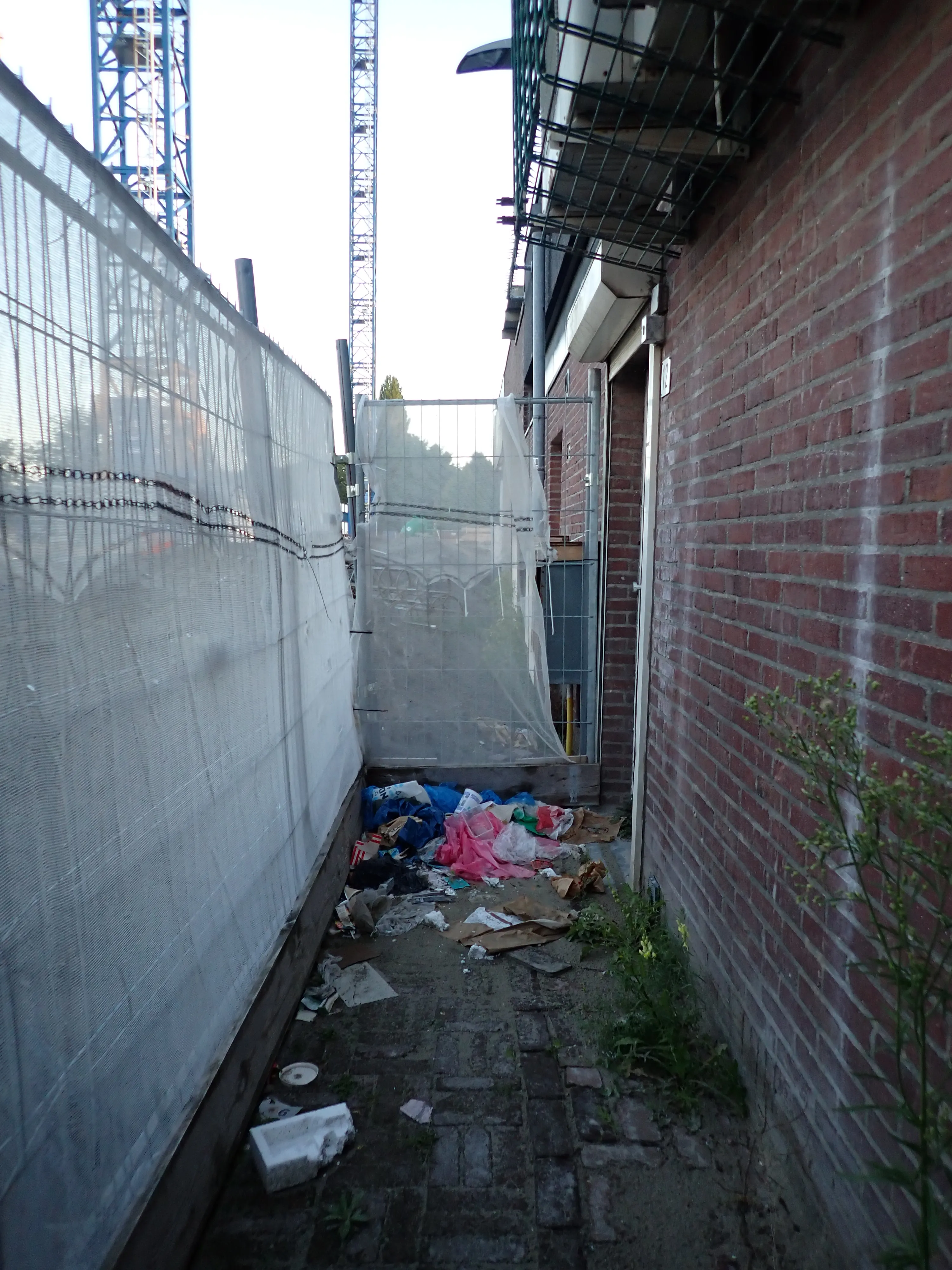 2025-08-28 (4 photos)