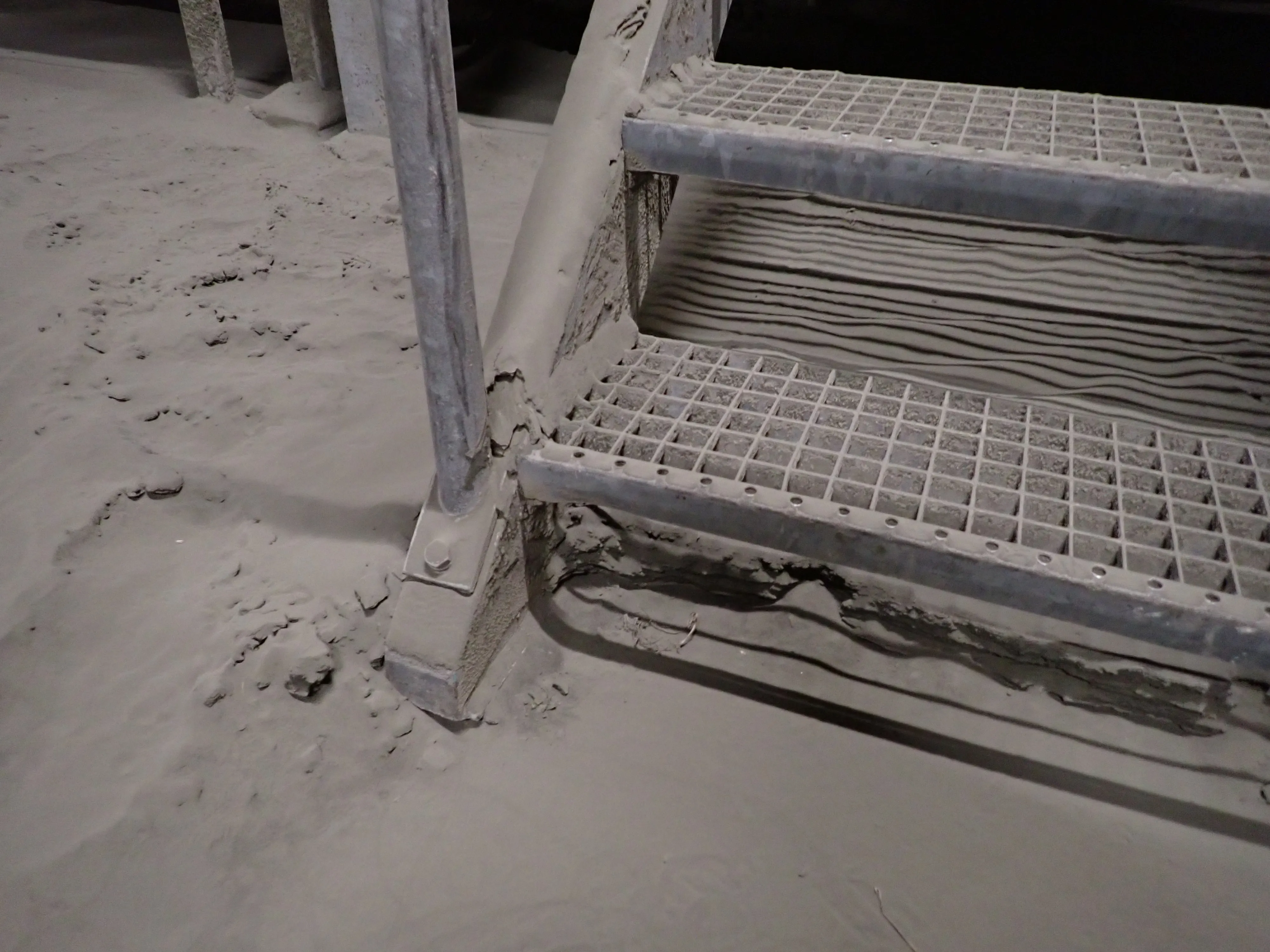 2025-08-29_23.16.35_150.JPG (4000x3000)