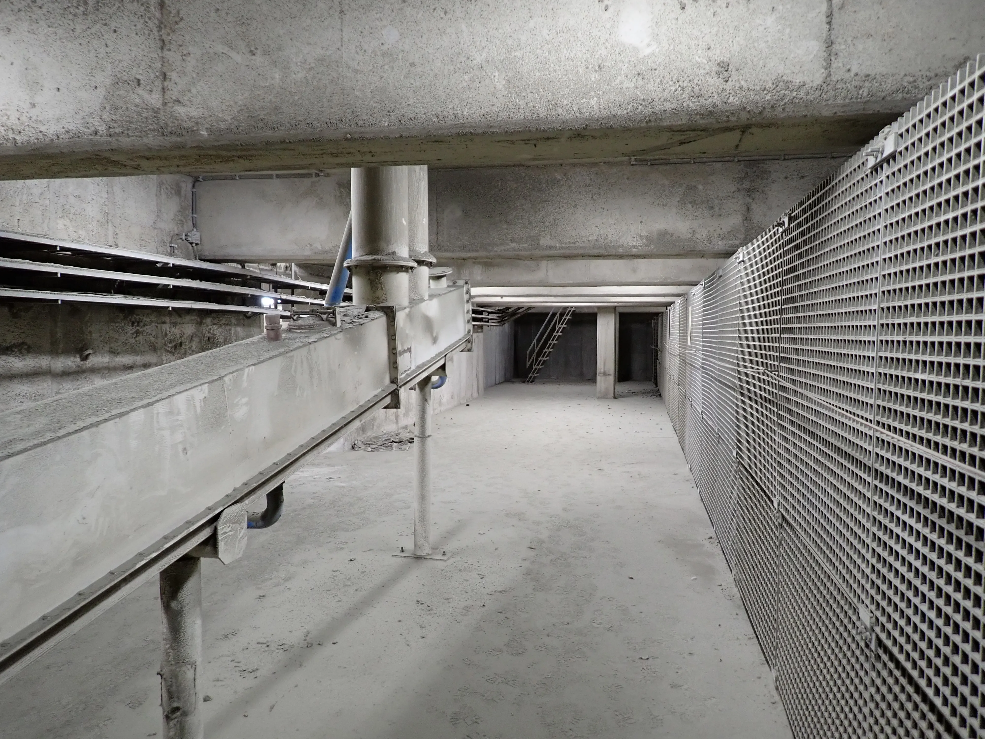 2025-08-29_23.25.30_170.JPG (4000x3000)