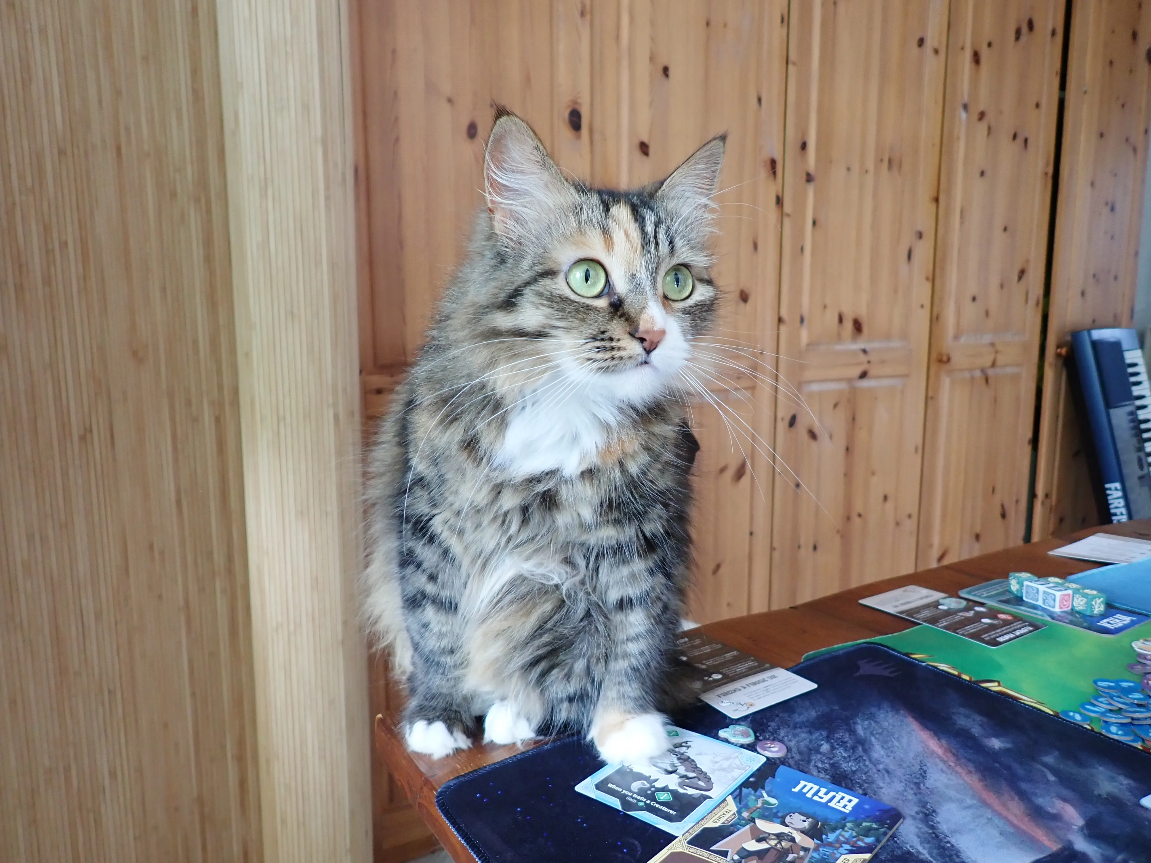 лучик (2 photos)