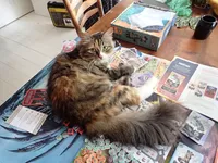 Photo from log "лучик (2 photos)"