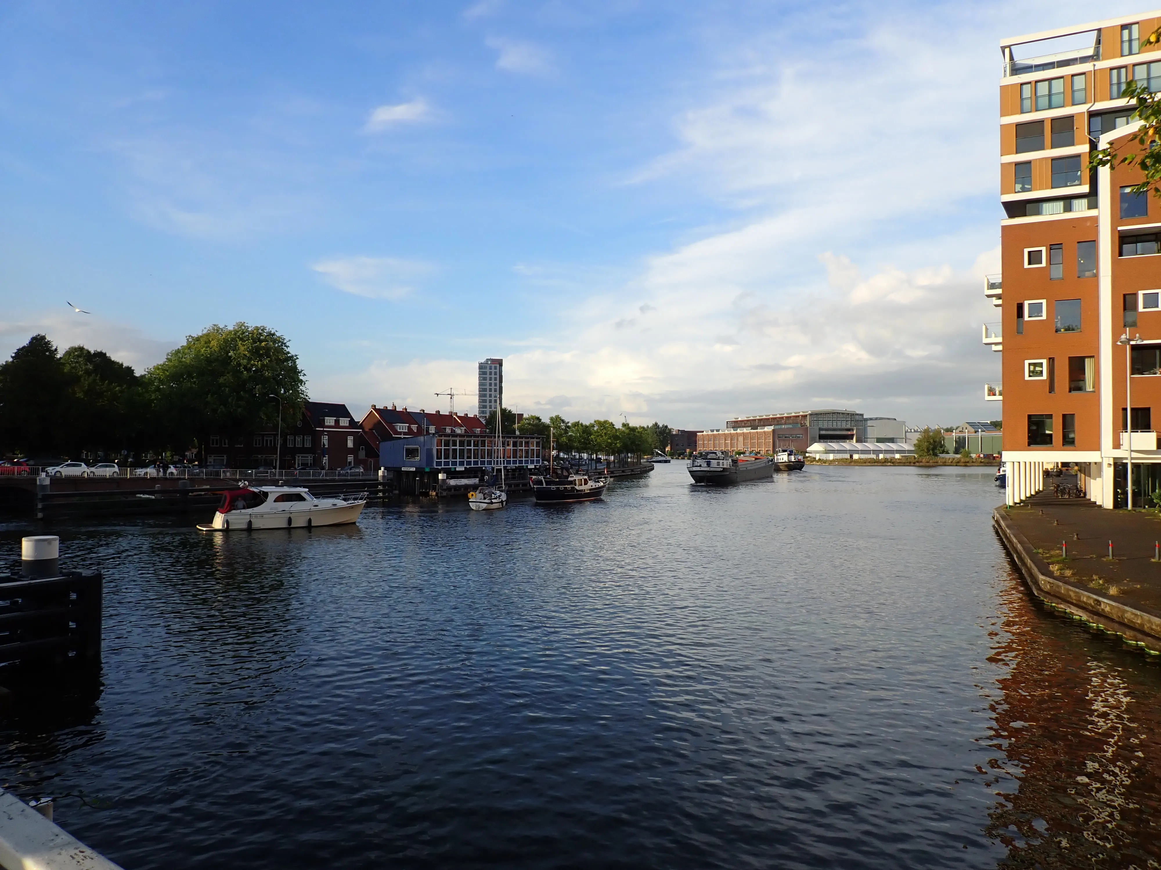 2025-09-04_18.08.10_9.JPG (4000x3000)