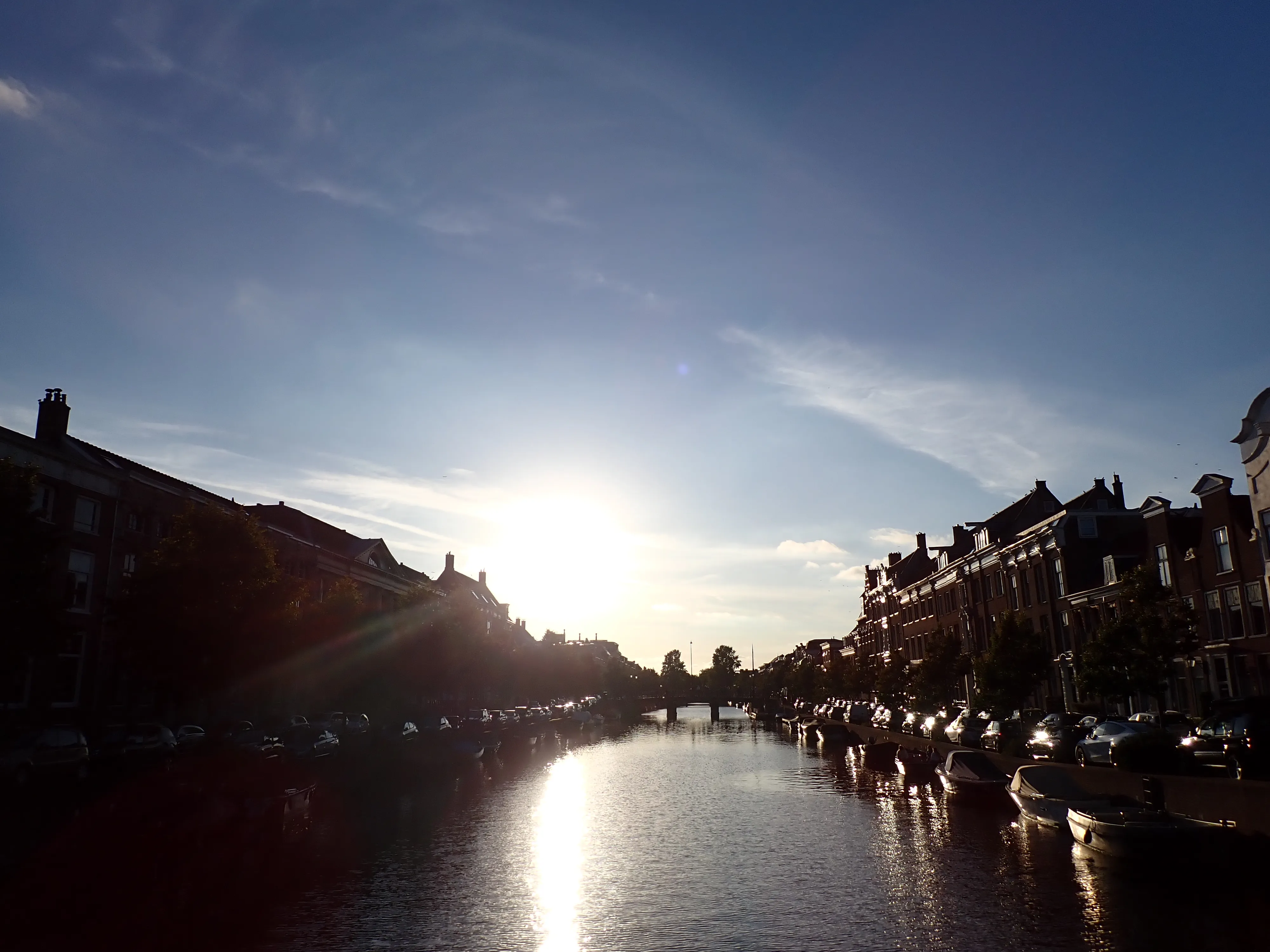 2025-09-05_18.18.45_28.JPG (4000x3000)