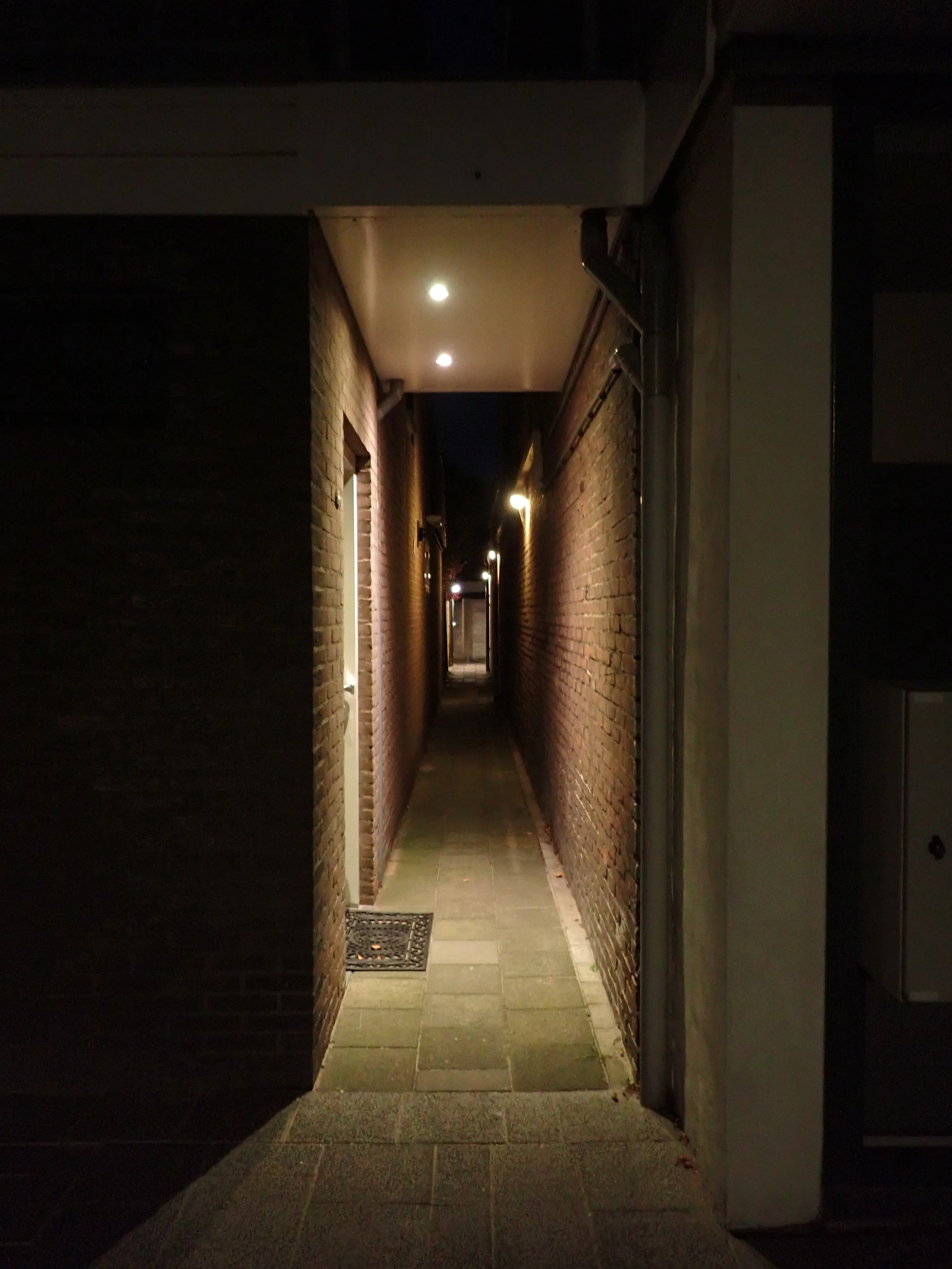 2025-09-07_20.16.41_37.JPG (3000x4000)