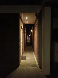 Photo from log "2025-09-08 night (4 photos)"