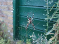 Photo from log "2025-09-08 day (7 photos)"