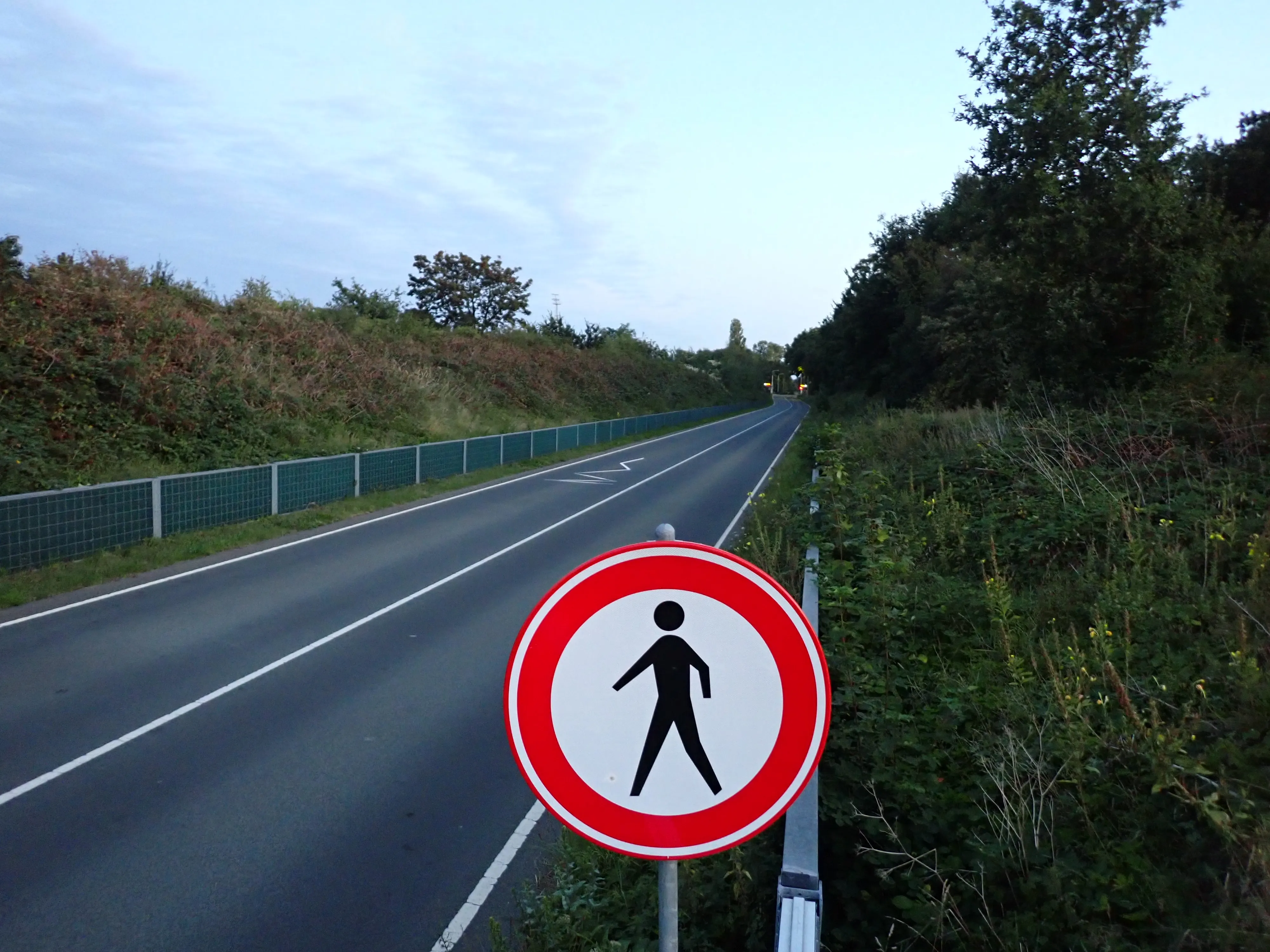 2025-09-08_19.29.01_114.JPG (4000x3000)