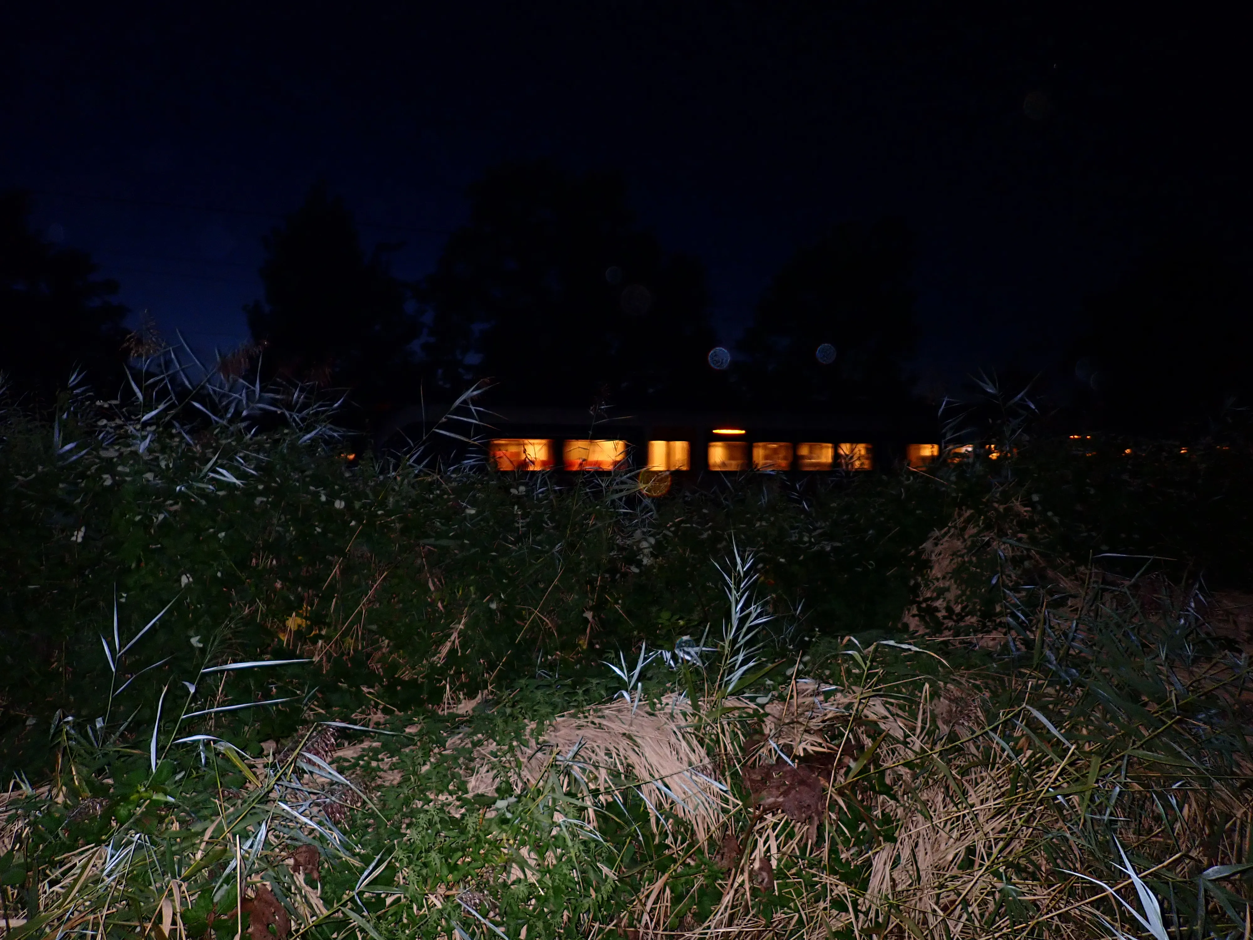 2025-09-08_20.04.16_132.JPG (4000x3000)