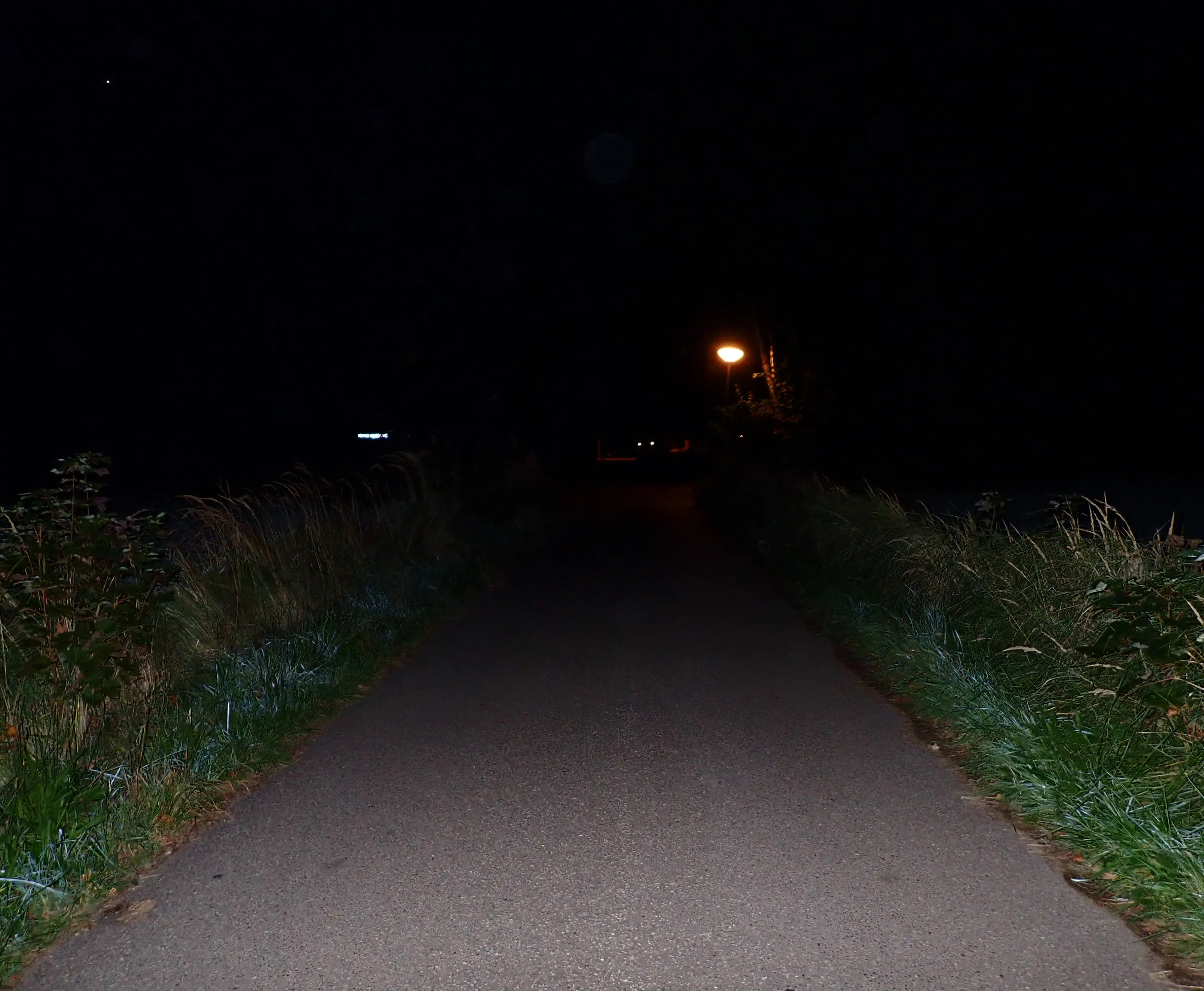 2025-09-08_20.14.52_141.JPG (3645x3000)