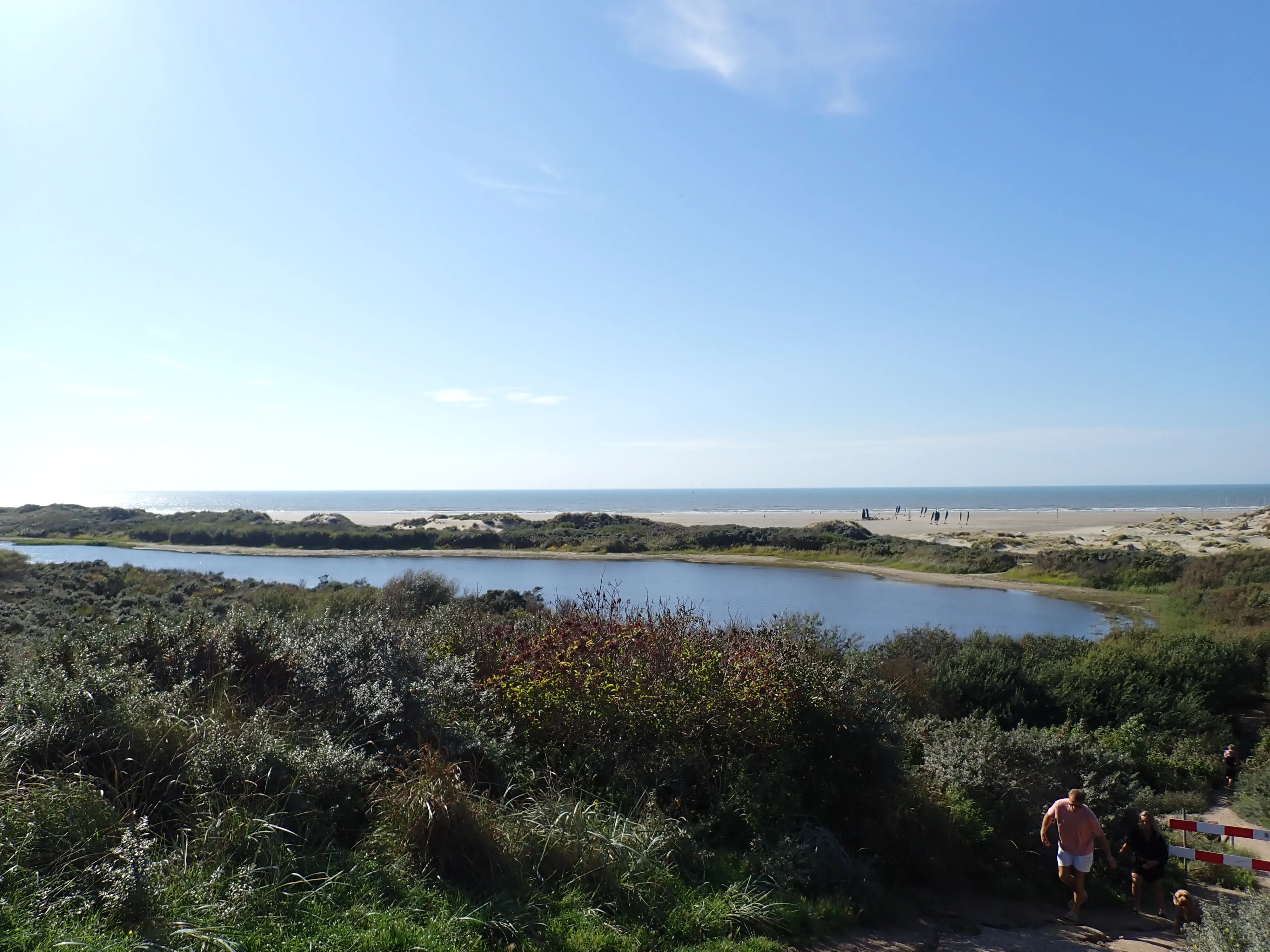 2025-09-19_14.46.46_51.JPG (4000x3000)