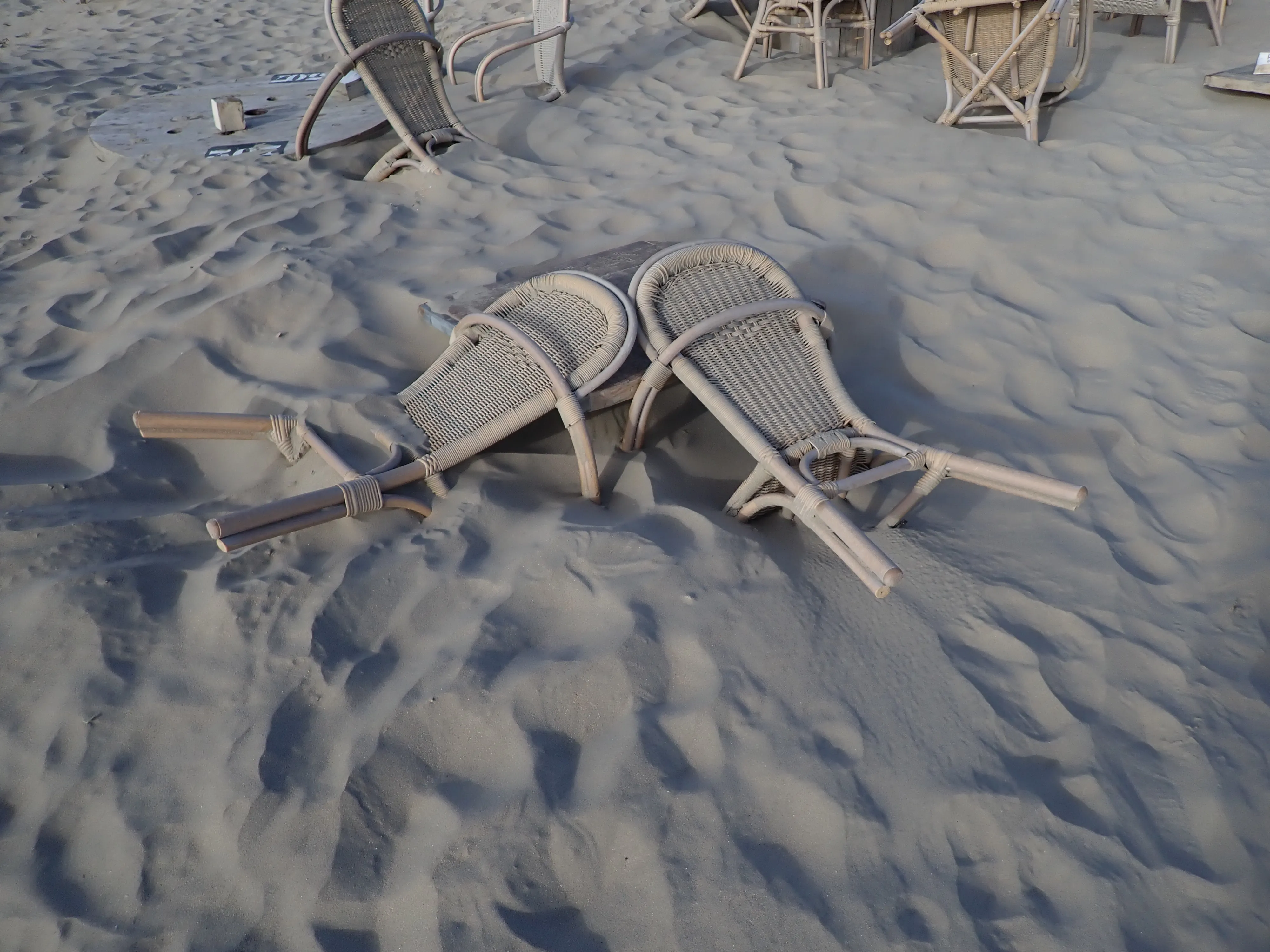 2025-09-21_16.30.40_89.JPG (4000x3000)