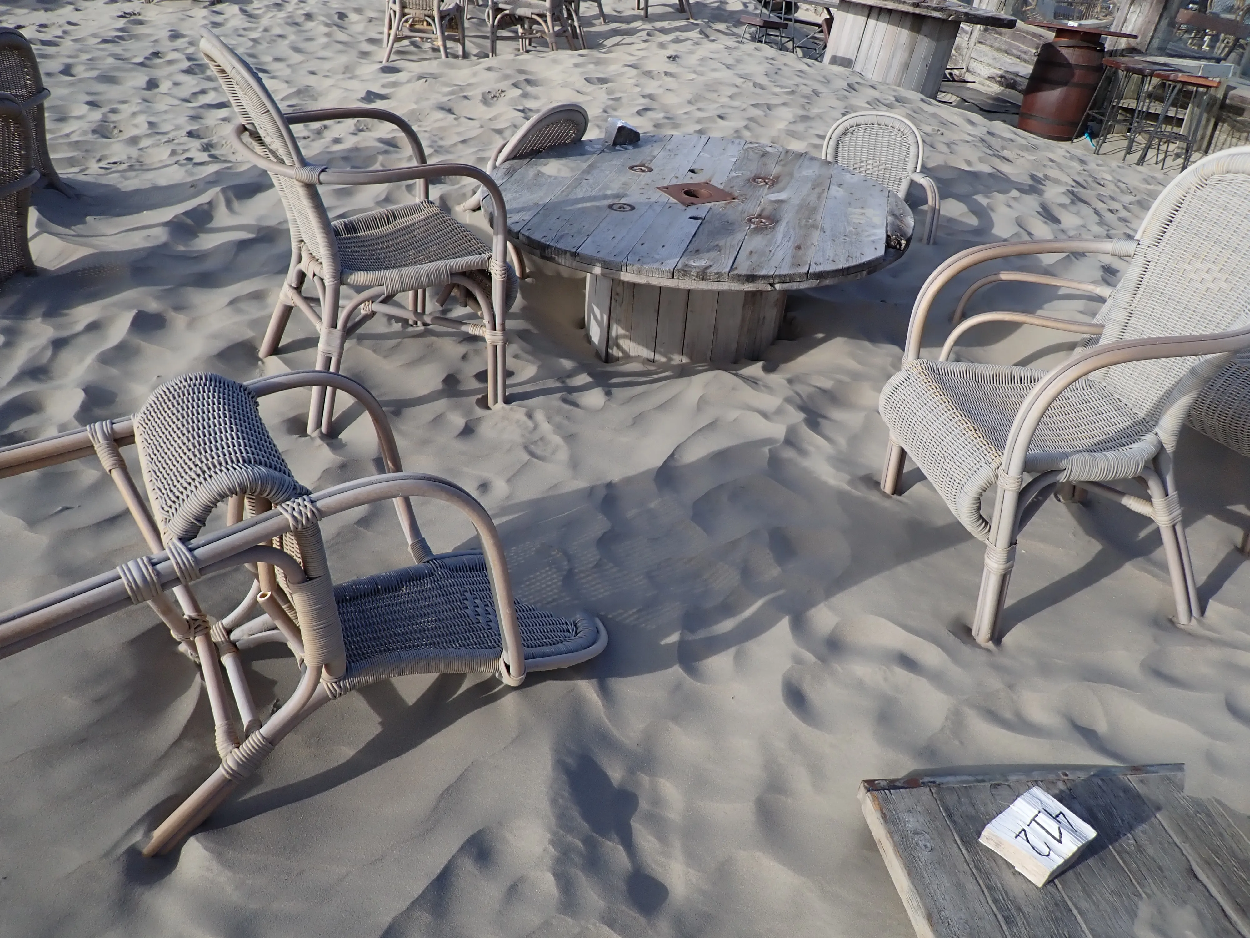 2025-09-21_16.30.47_90.JPG (4000x3000)