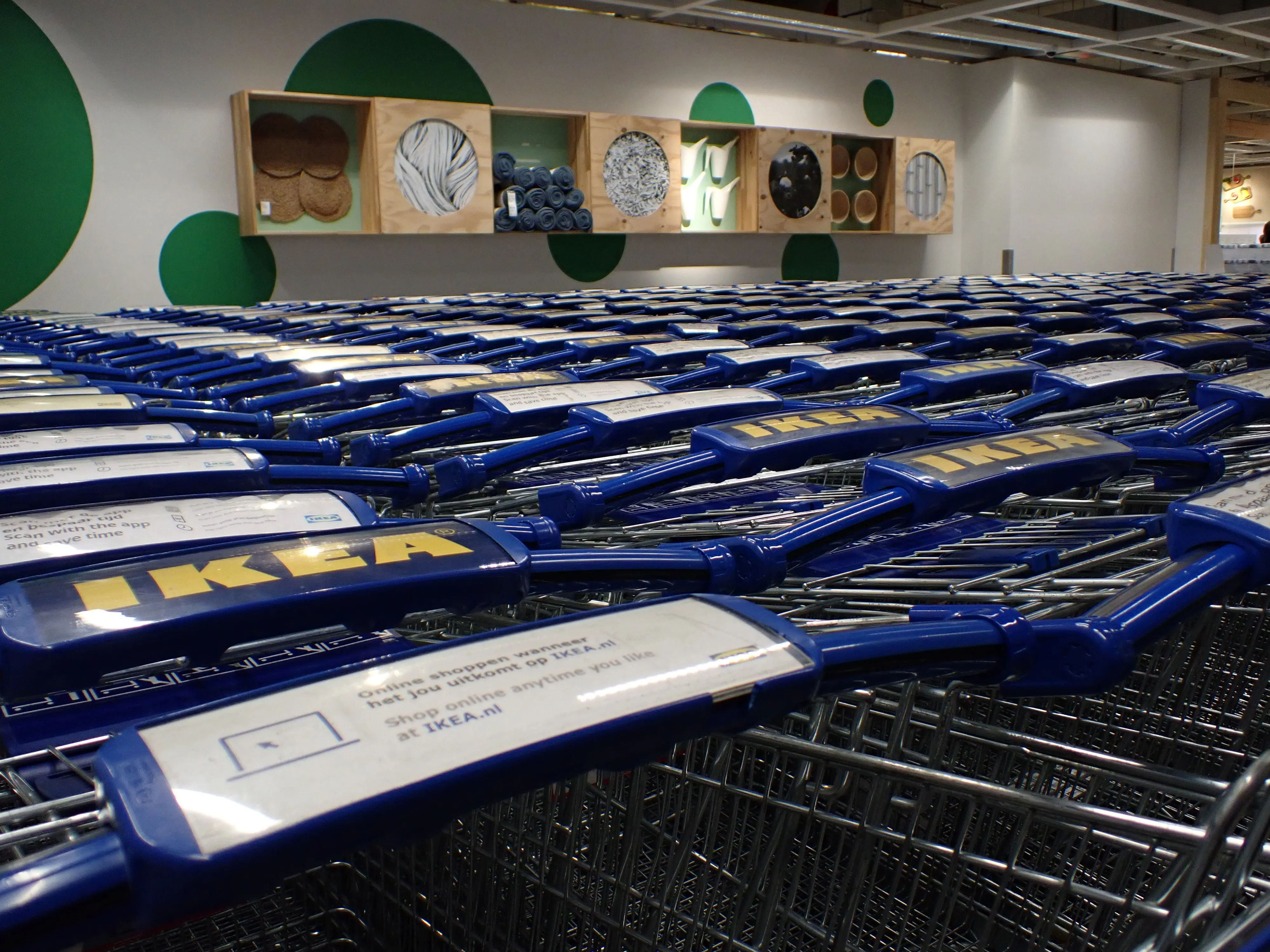 2025-09-23_18.36.14_103.JPG (4000x3000)