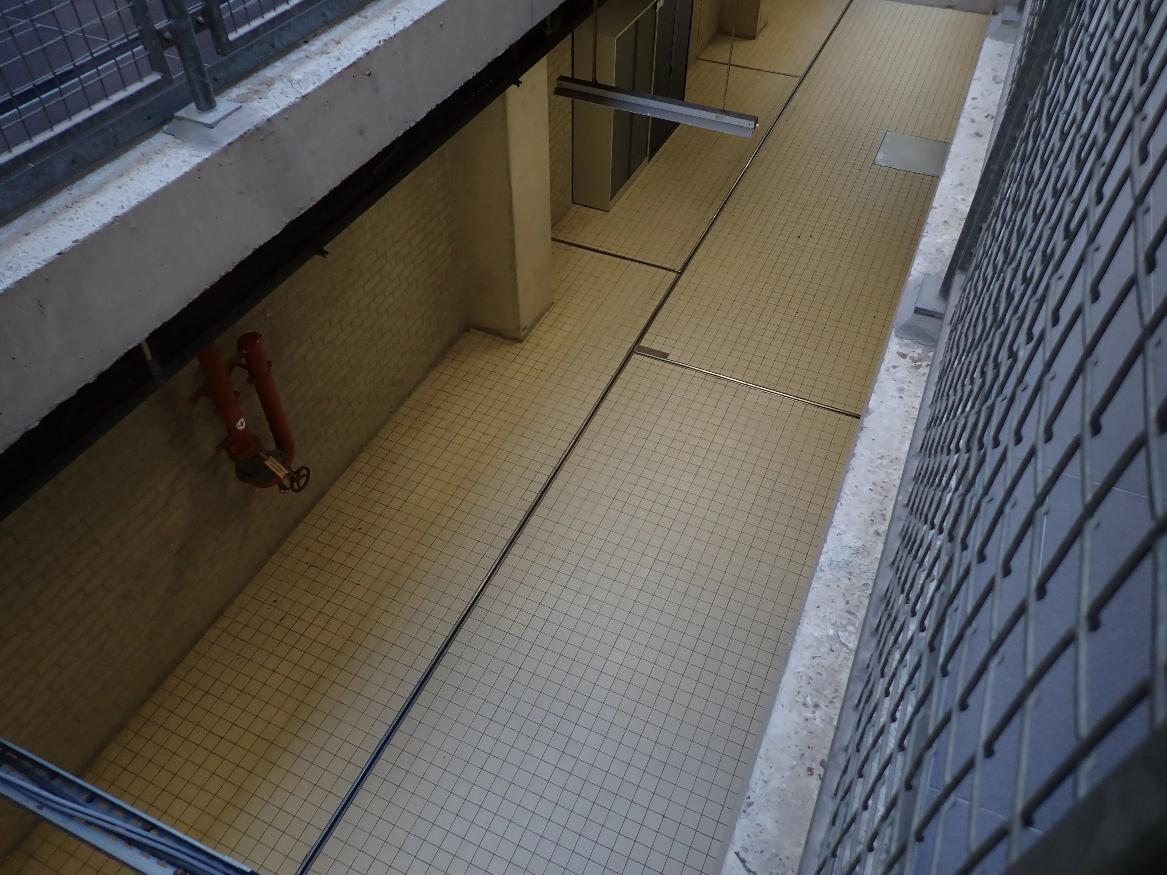 2025-09-24_08.03.04_111.JPG (4000x3000)