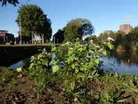 Photo from log "2025-09-24 (4 photos)"