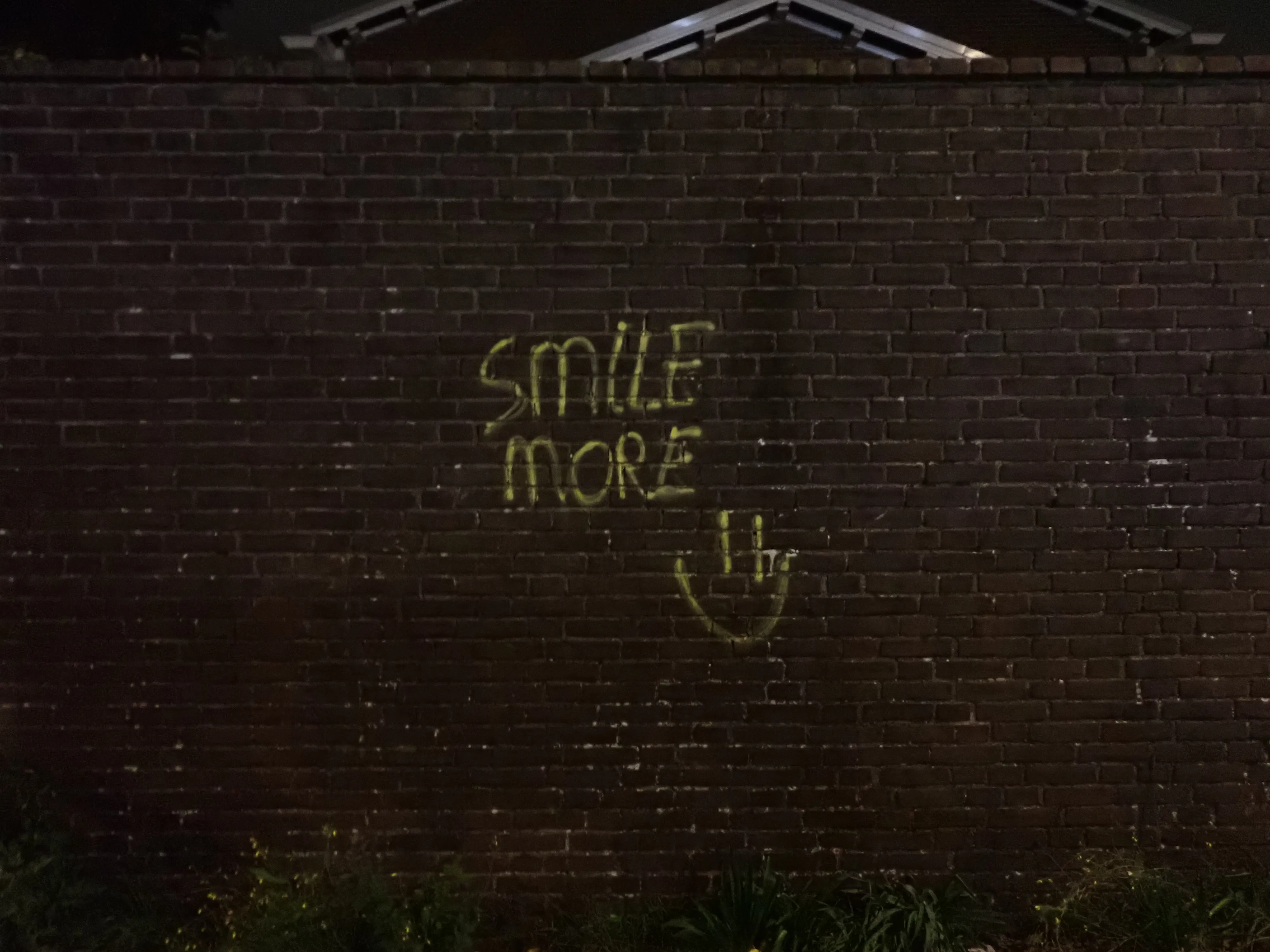 2025-09-25_19.50.48_2.JPG (4000x3000)