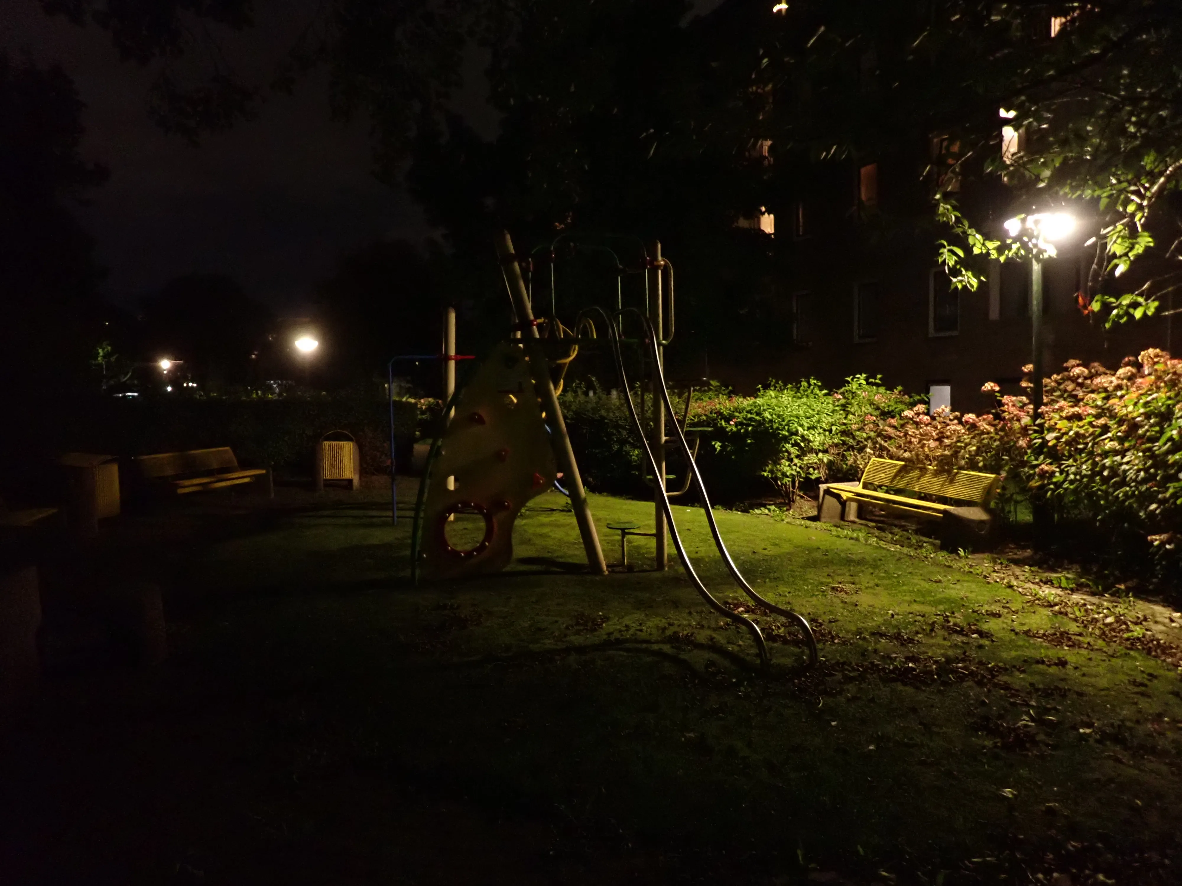 2025-09-25_20.01.50_18.JPG (4000x3000)